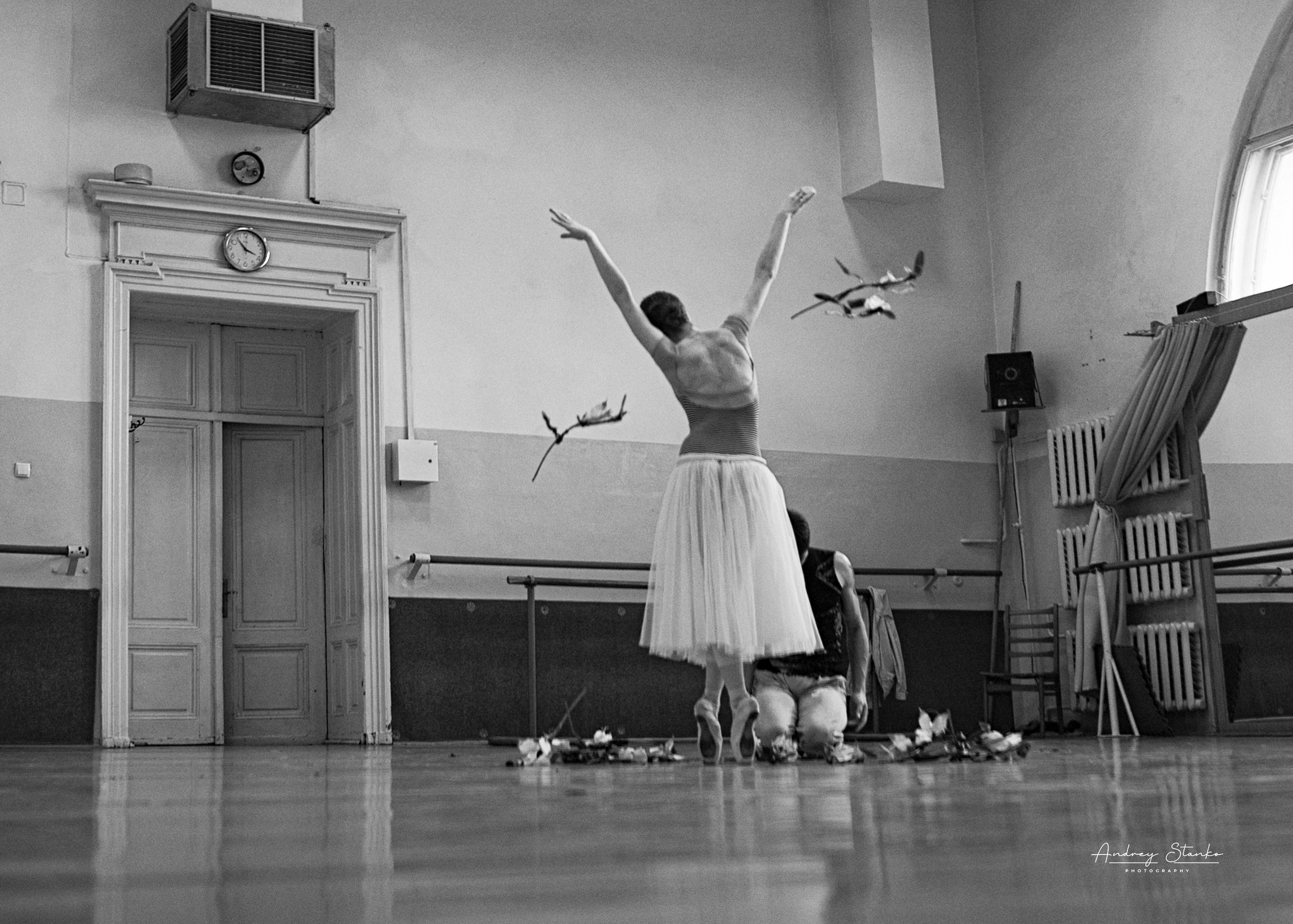 INSIDE THE THEATERS. Awards winning photographer in Kauai, Hawaii