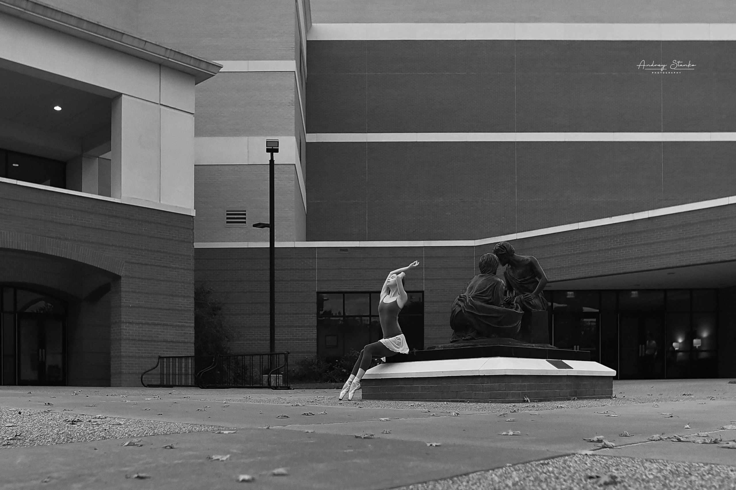 DANCE IN AMERICA. Awards winning photographer in Kauai, Hawaii