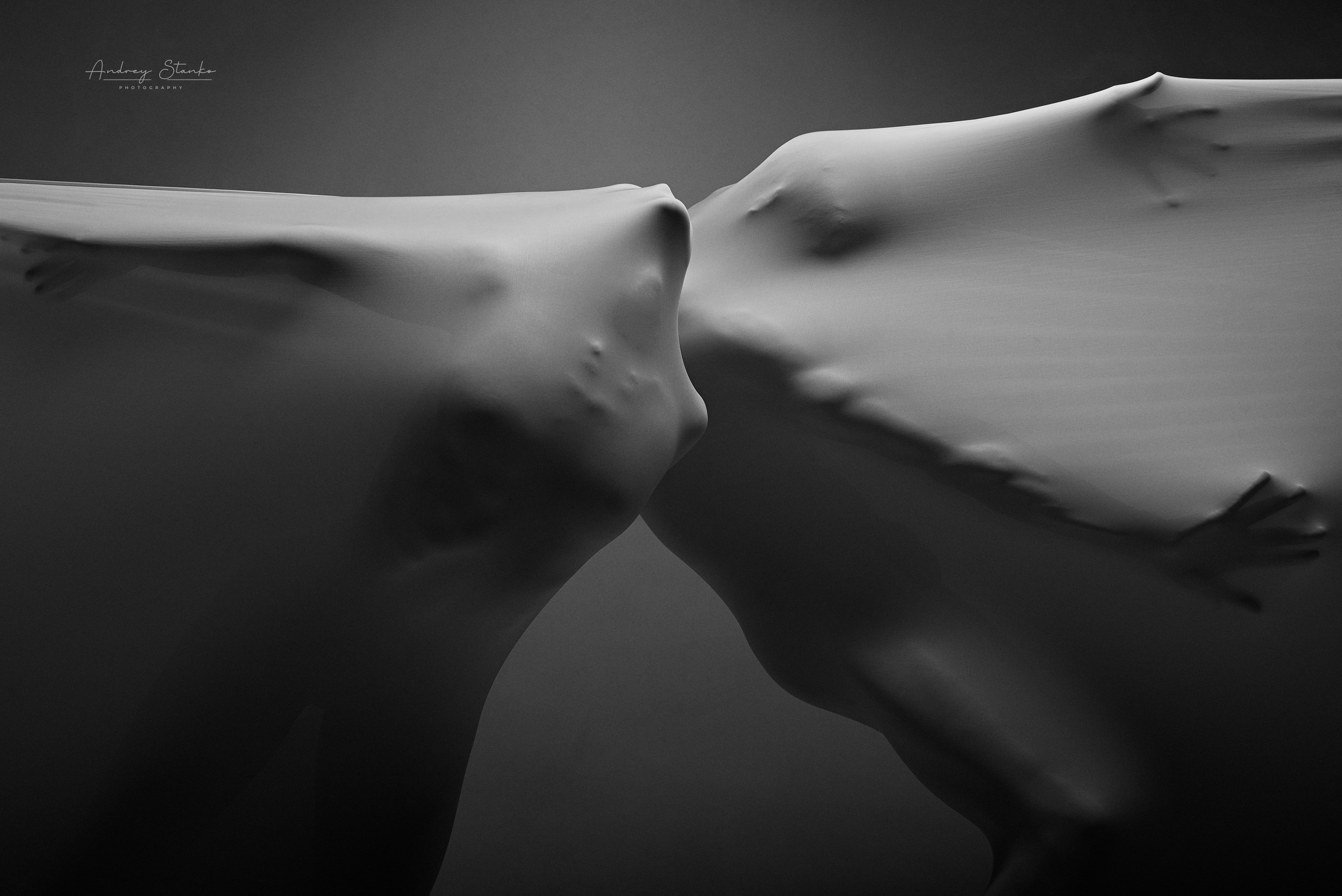 ARTWORKS. Awards winning photographer in Kauai, Hawaii