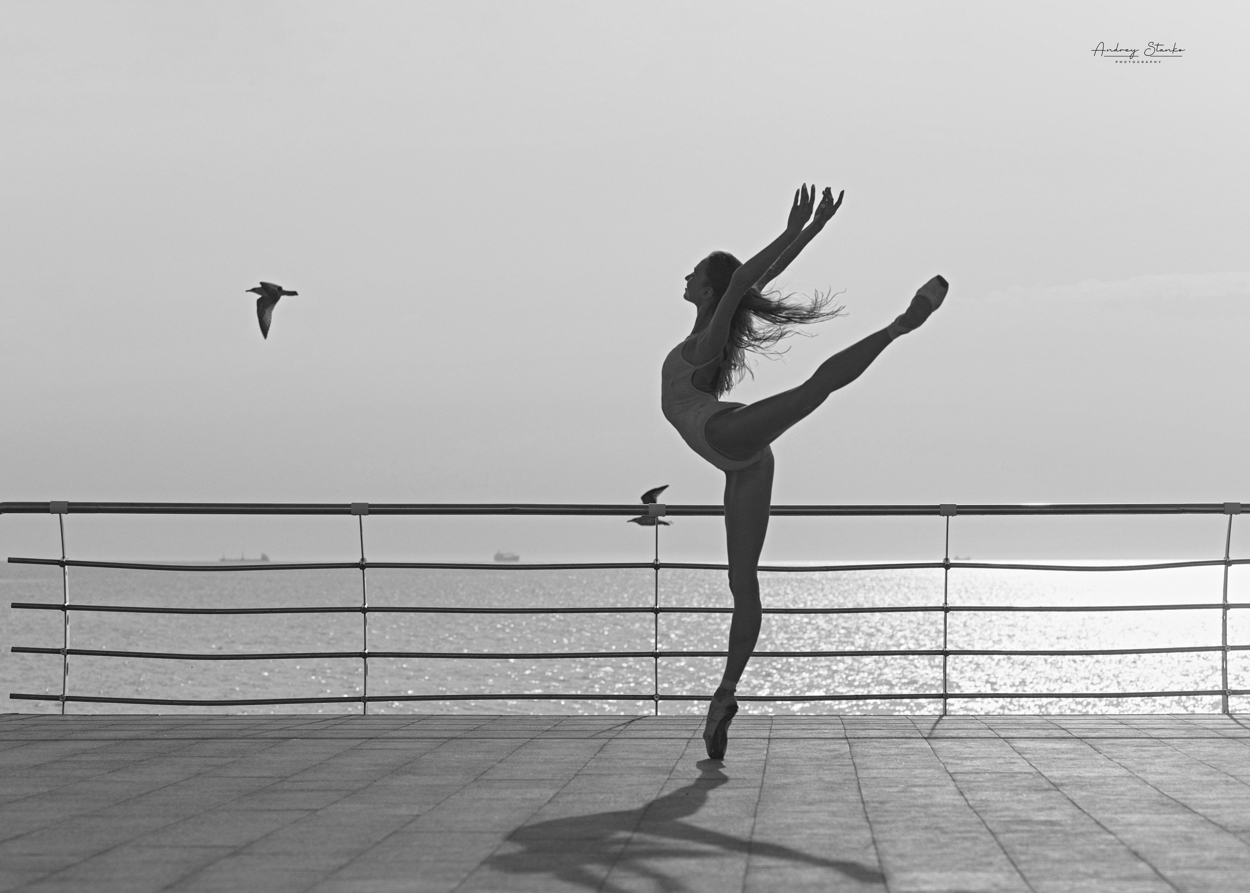 DANCE & SEA (project in progress). Awards winning photographer in Kauai, Hawaii