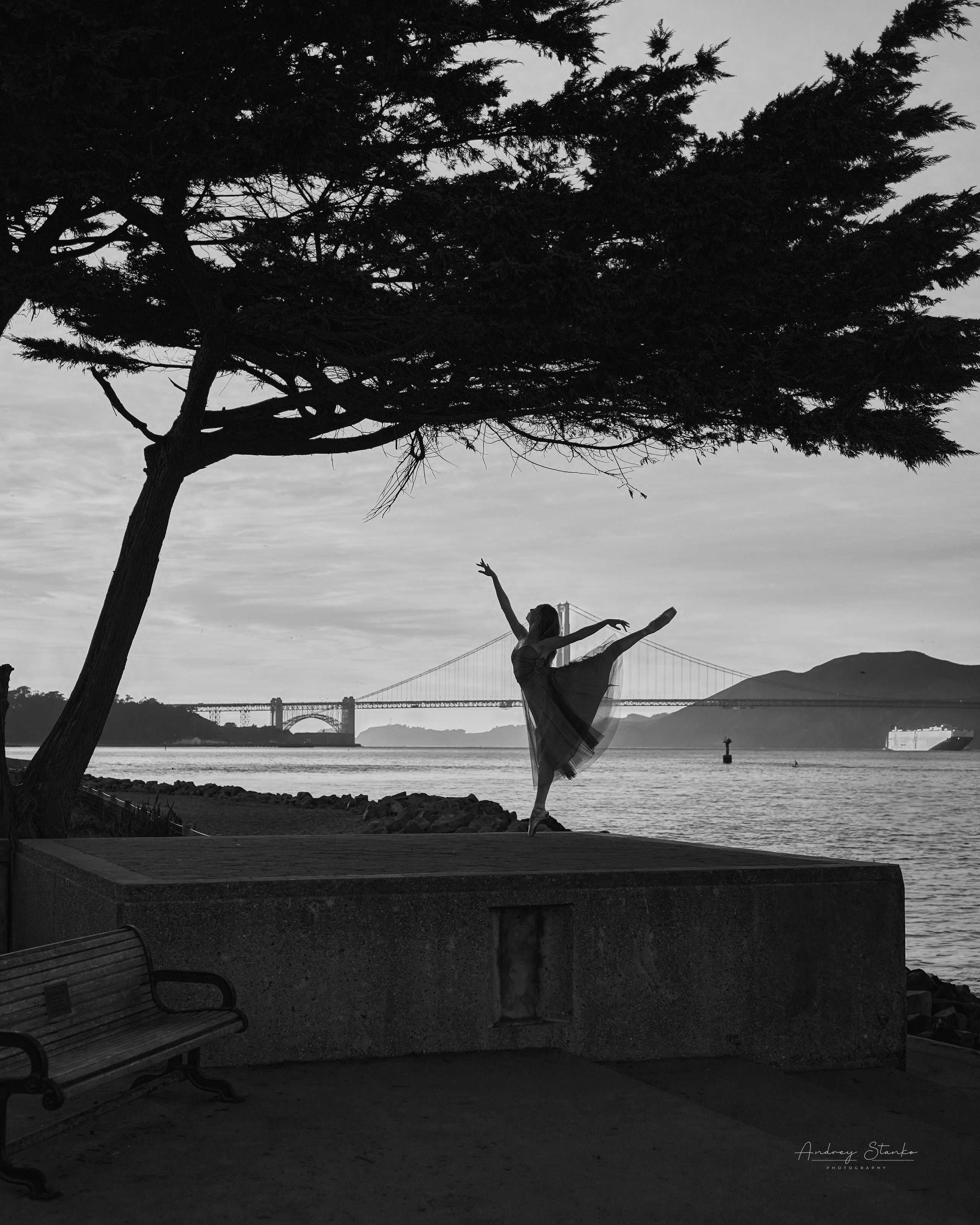 DANCE IN AMERICA. Awards winning photographer in Kauai, Hawaii