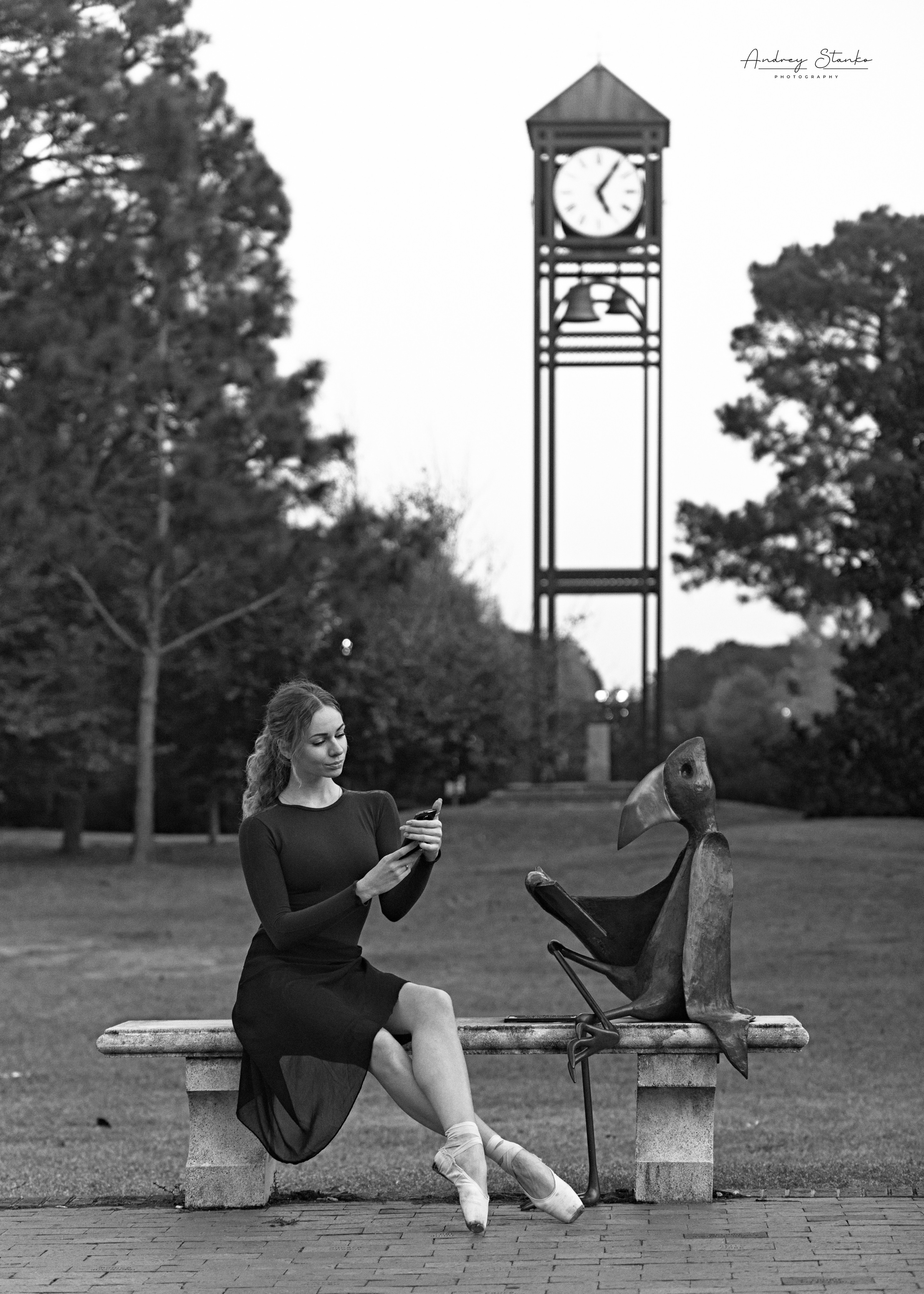 DANCE IN AMERICA. Awards winning photographer in Kauai, Hawaii