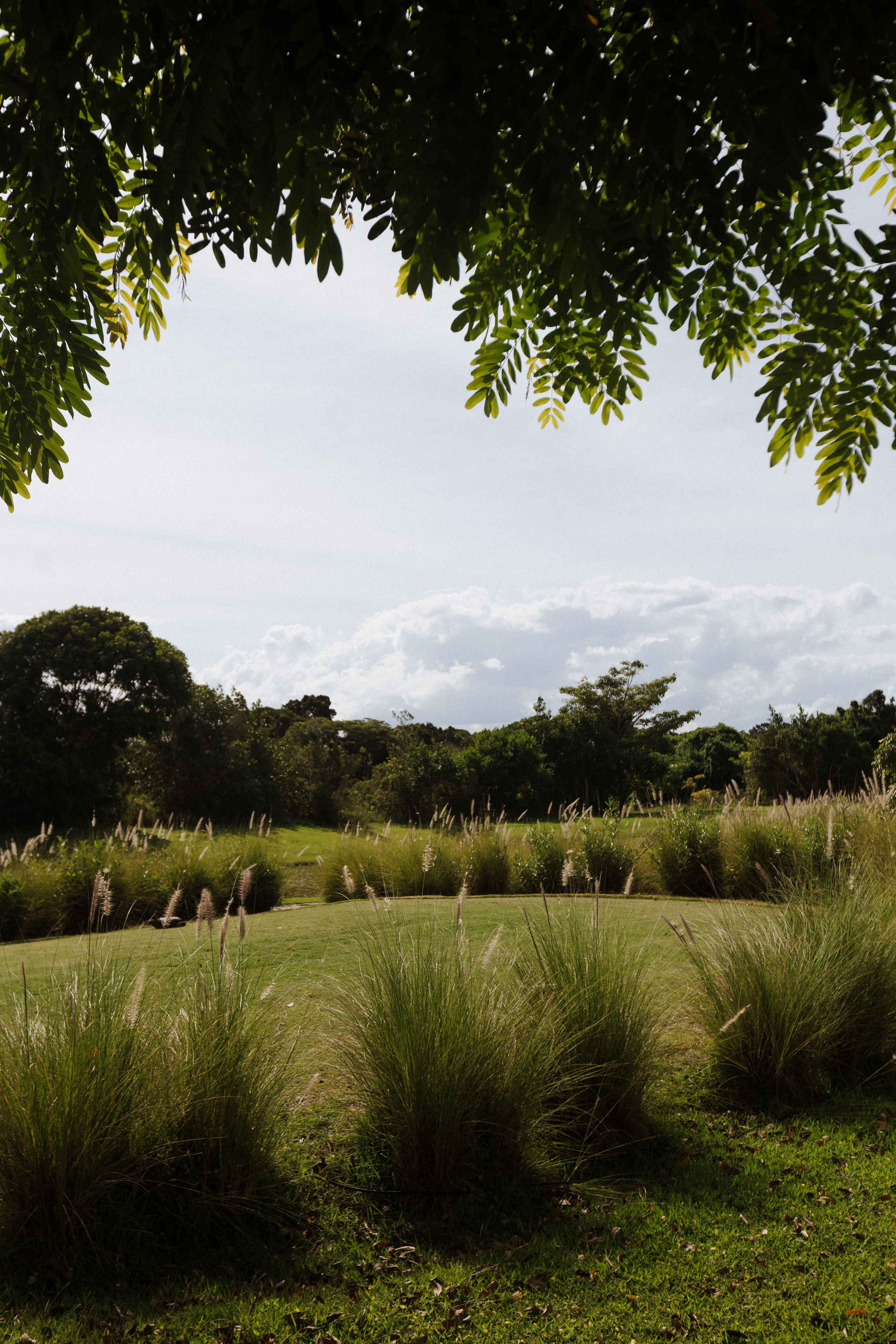 THAIS & RAFAEL L’Occitane Trancoso. Vitor Braga Fotografia | Destination Wedding Photographer
