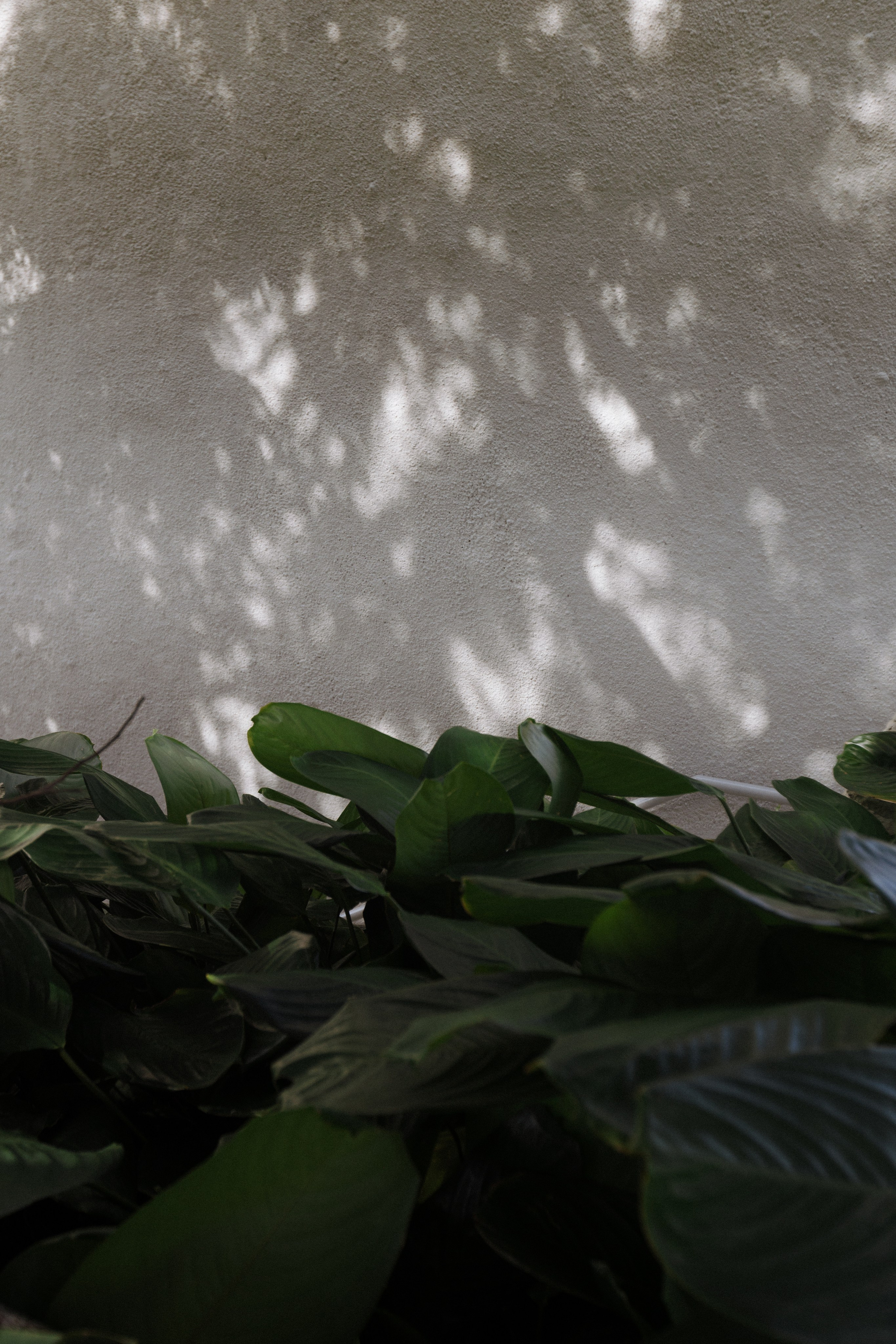 THAIS & RAFAEL L’Occitane Trancoso. Vitor Braga Fotografia | Destination Wedding Photographer