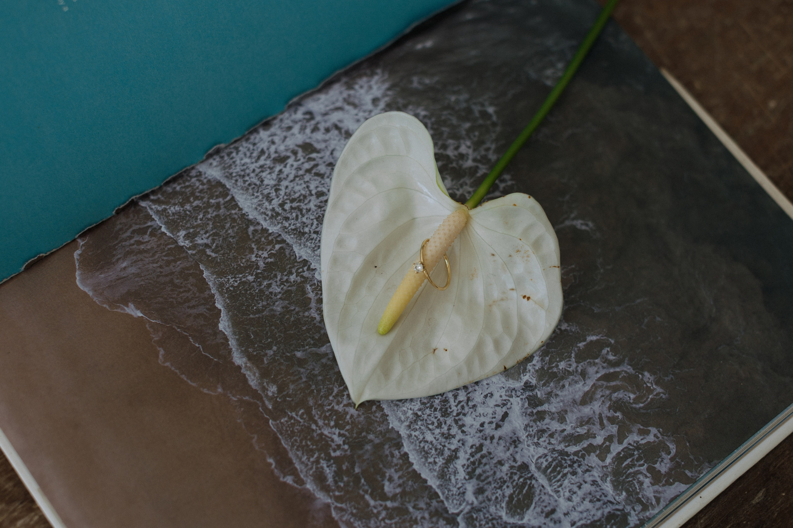 ARCHIVE. Vitor Braga Fotografia | Destination Wedding Photographer