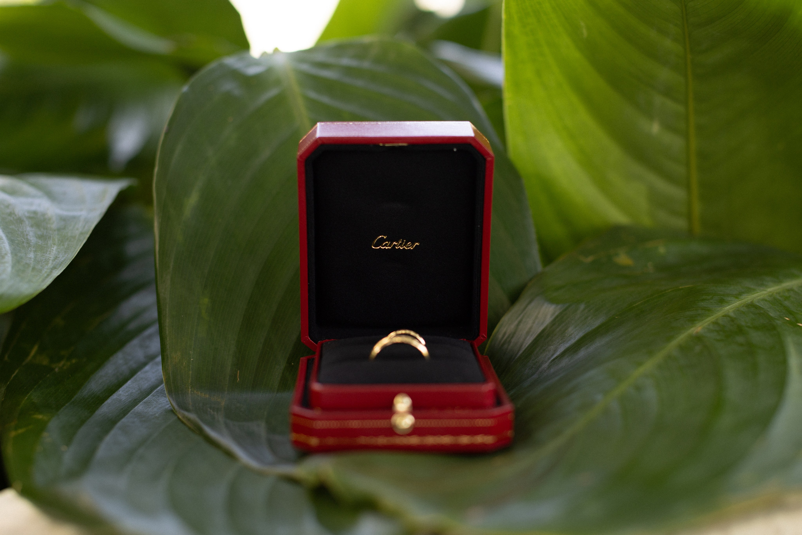 THAIS & RAFAEL L’Occitane Trancoso. Vitor Braga Fotografia | Destination Wedding Photographer