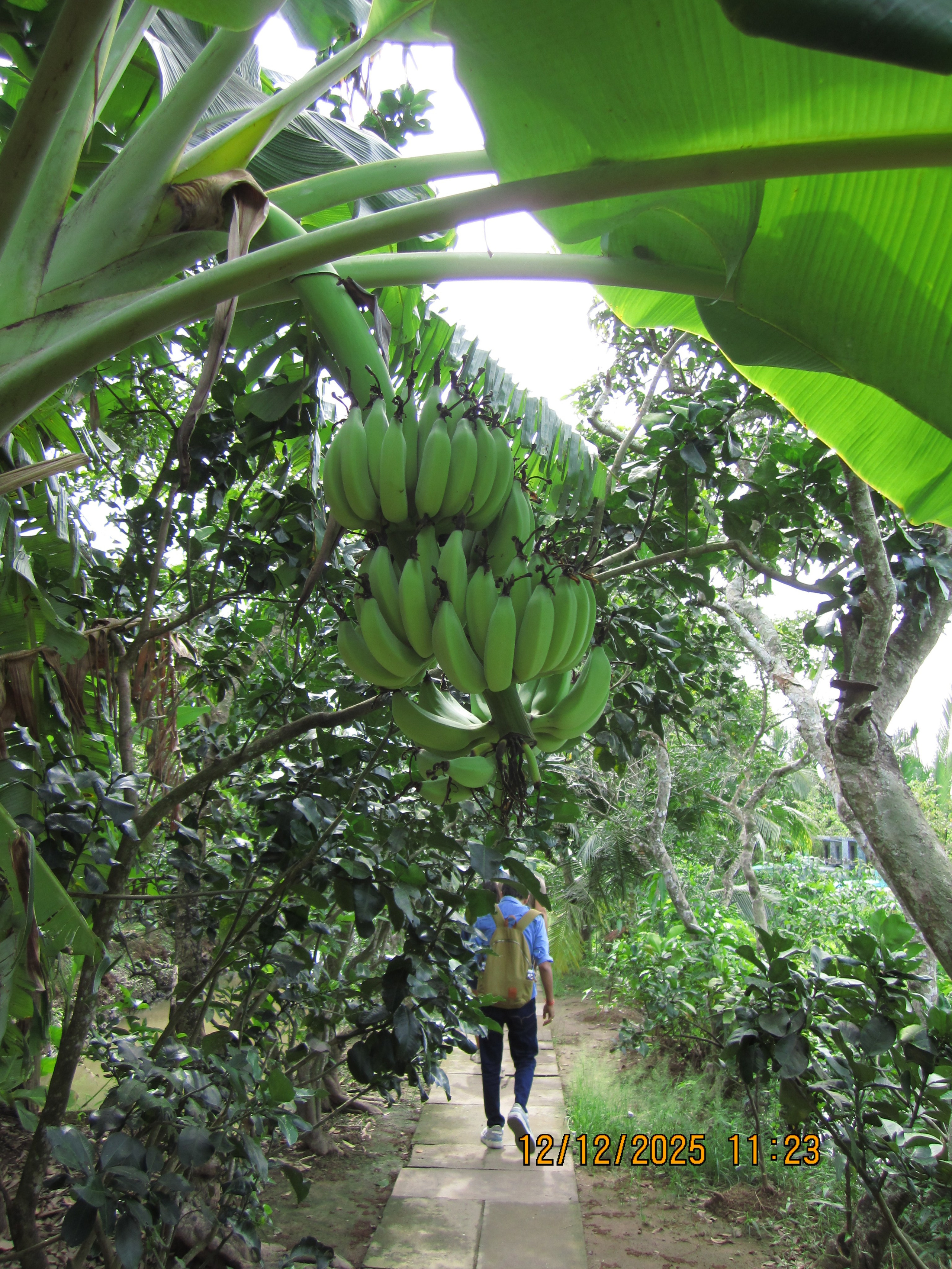 Kaheksateistkümnes päev. LondoSpeed Photography