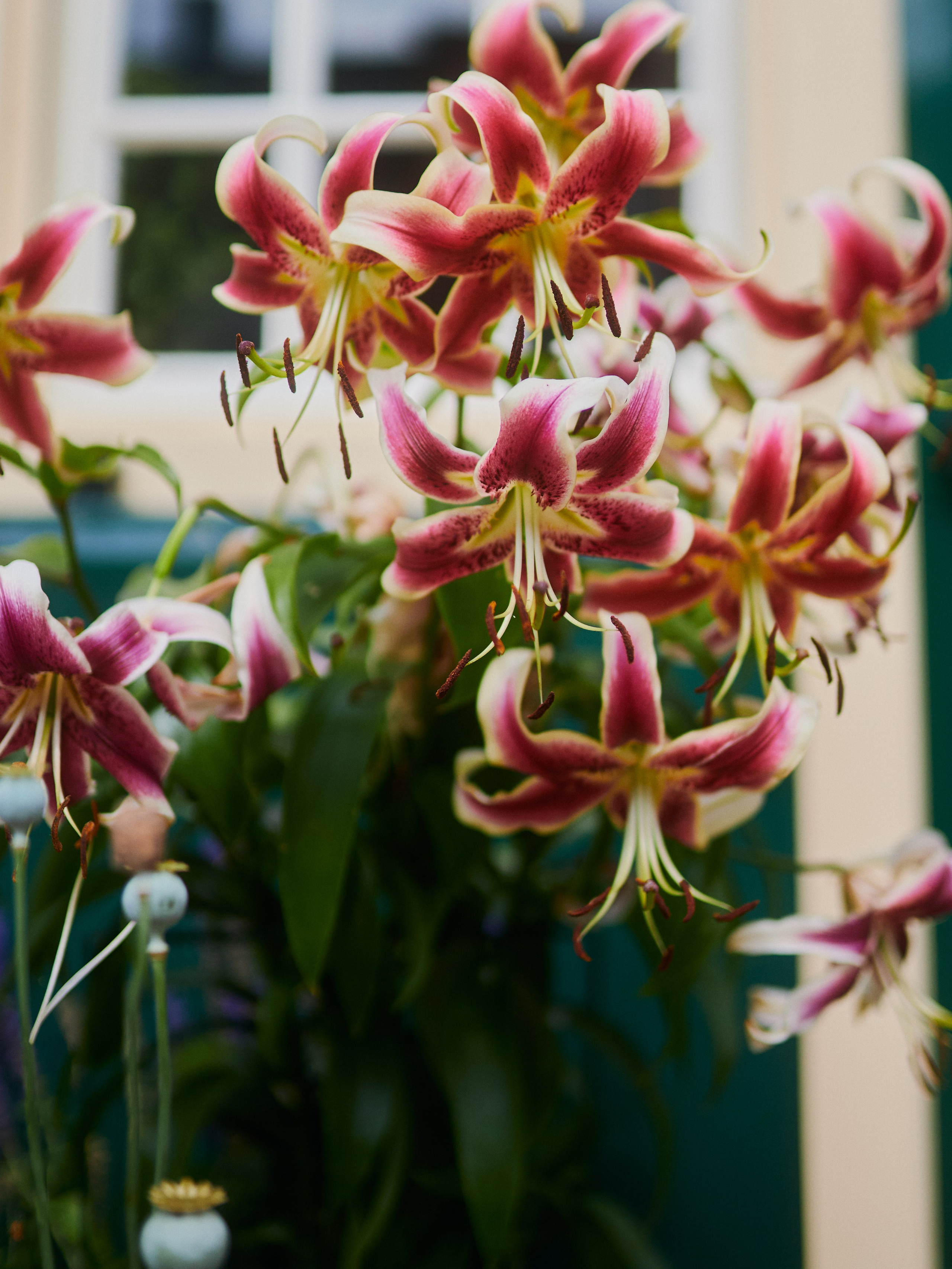 Street. Personal, fashion, business Photographer in Netherlands