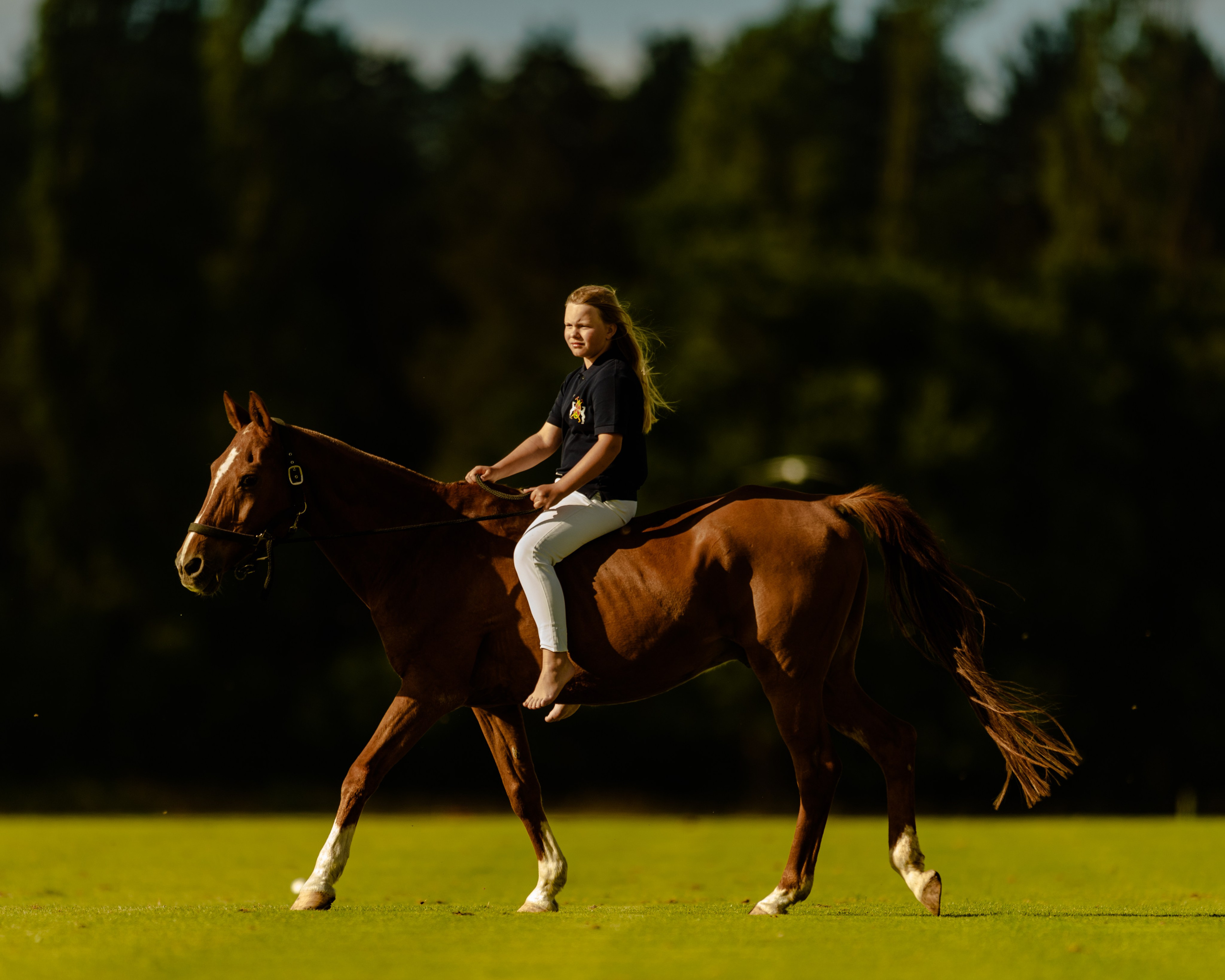 Photo shoot with horses