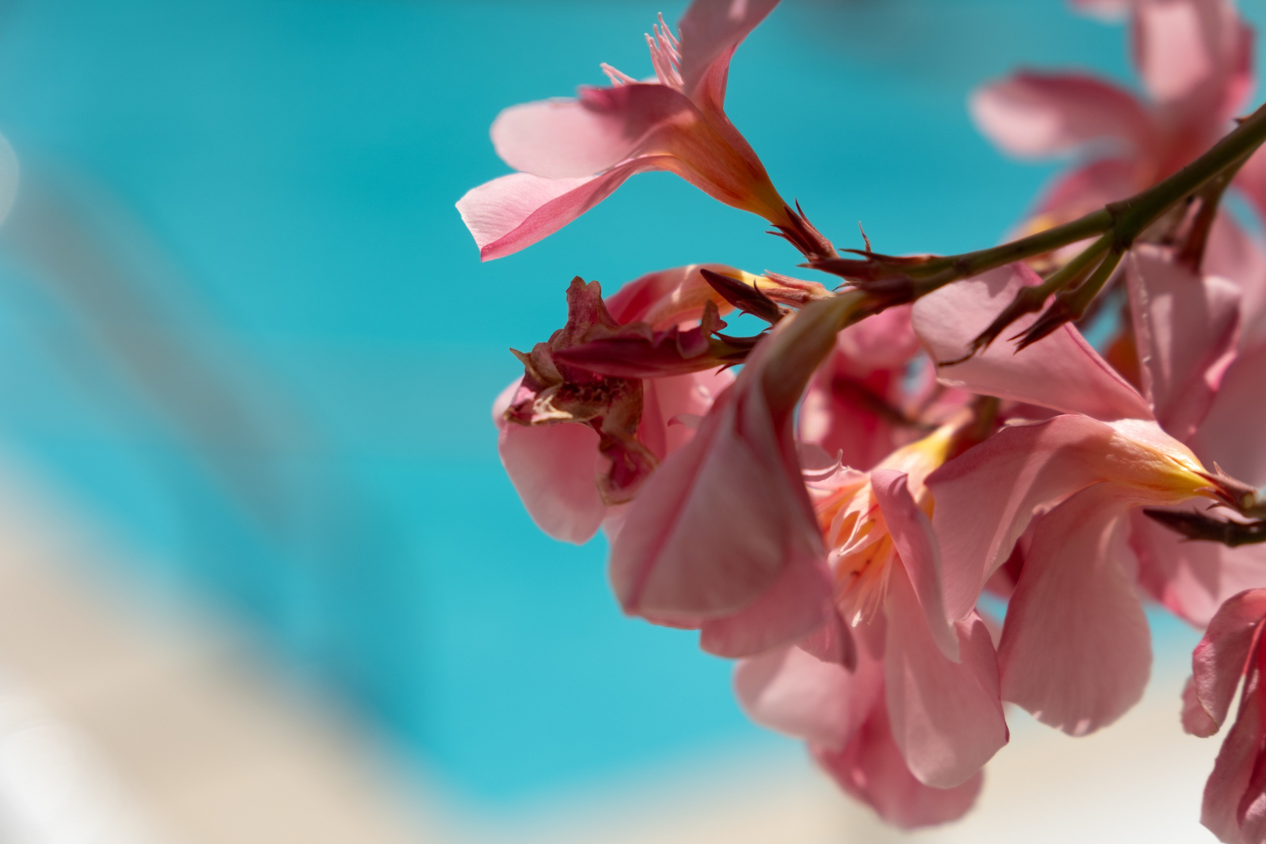 Sicily. Wedding photography — EMU Photos