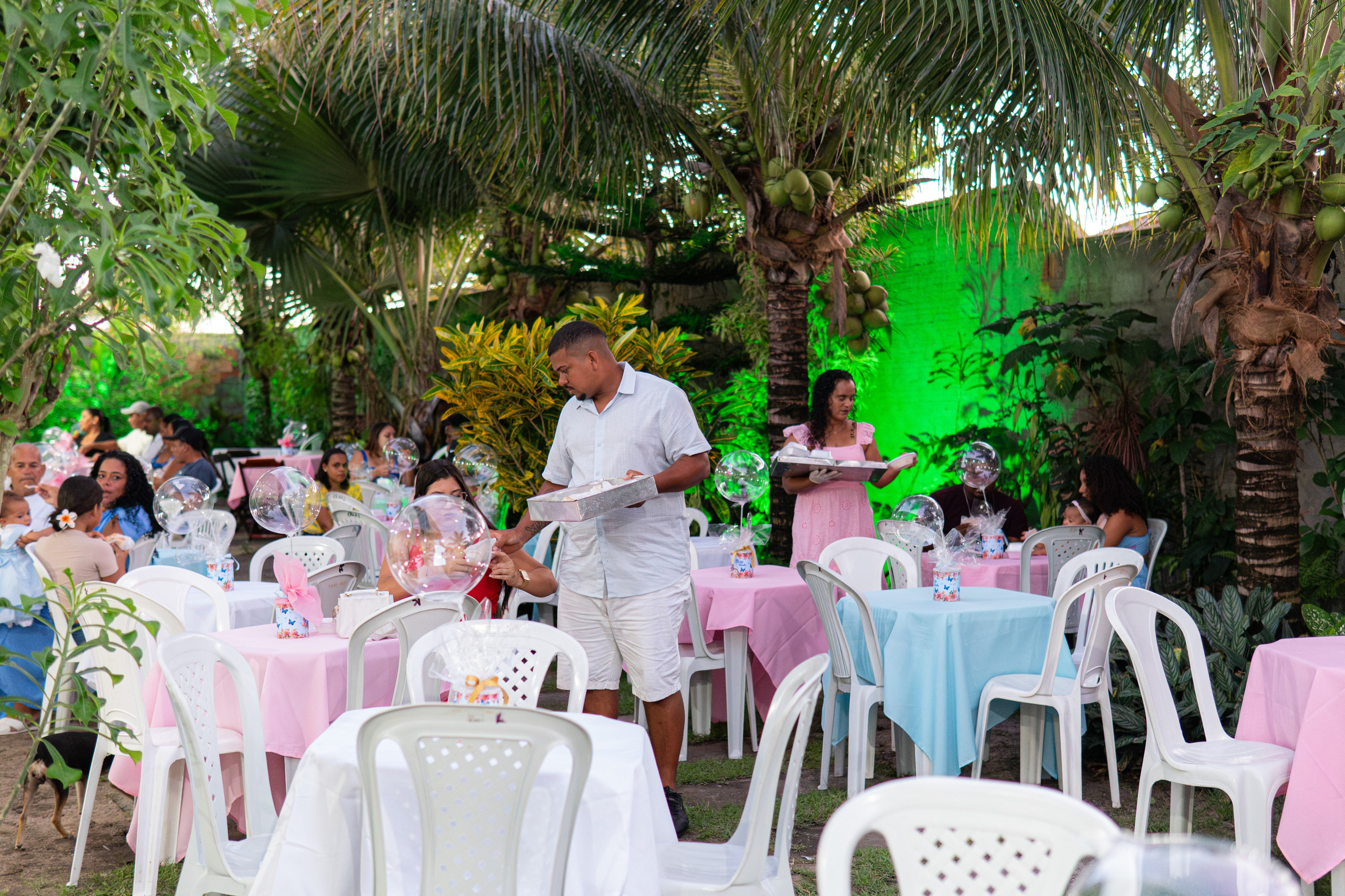 Festa Alicia