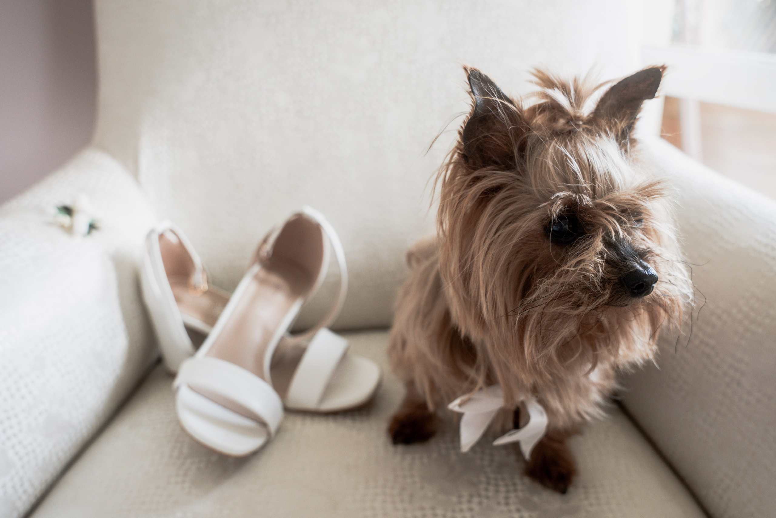 Photo de mariage C&PM en Isère. Photographe à Grenoble | Love Story, Mariage & Grossesse – Lovestyle