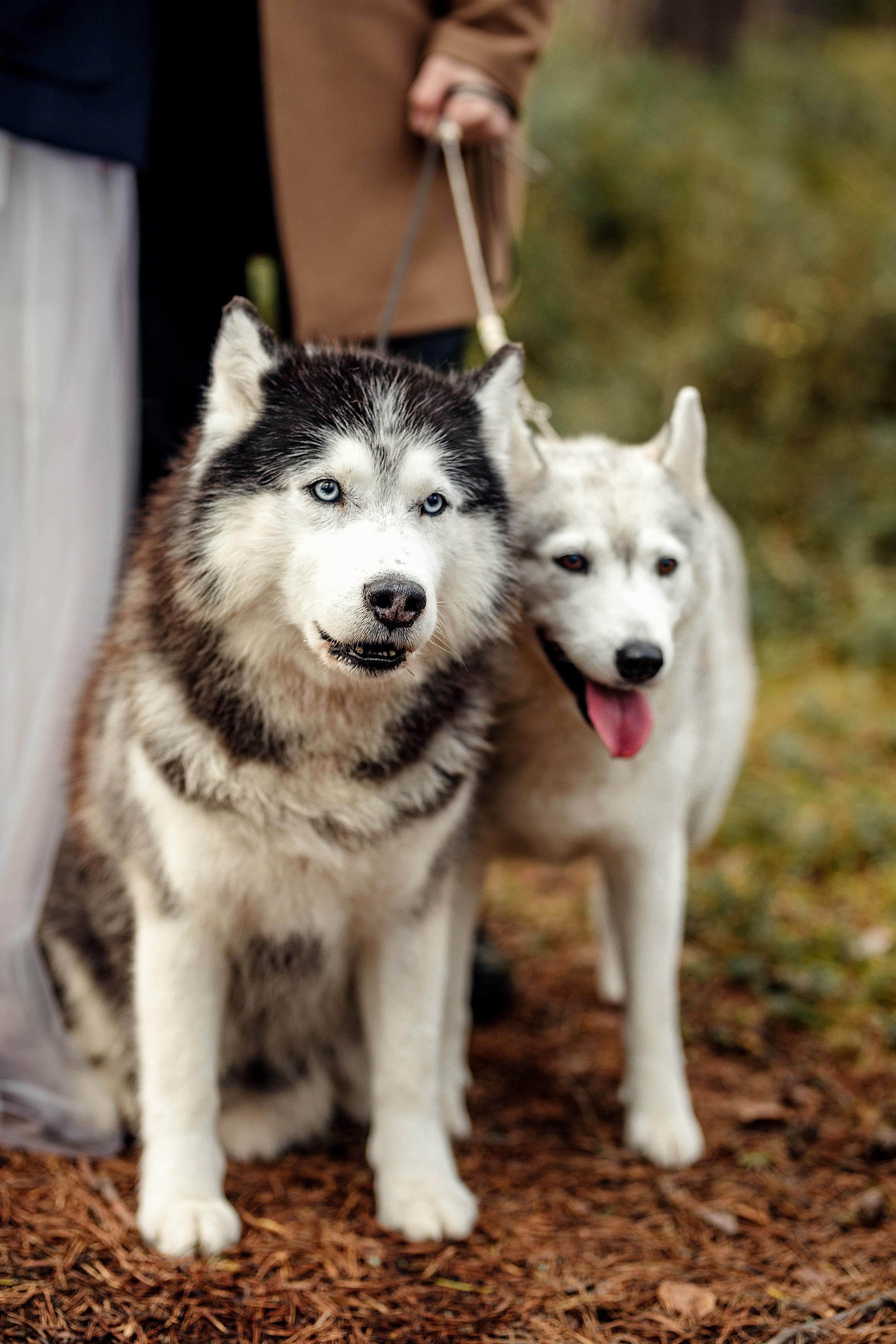 Forest Workshop. Семейный и портретный фотограф в Эстонии Наталья Фрейманис