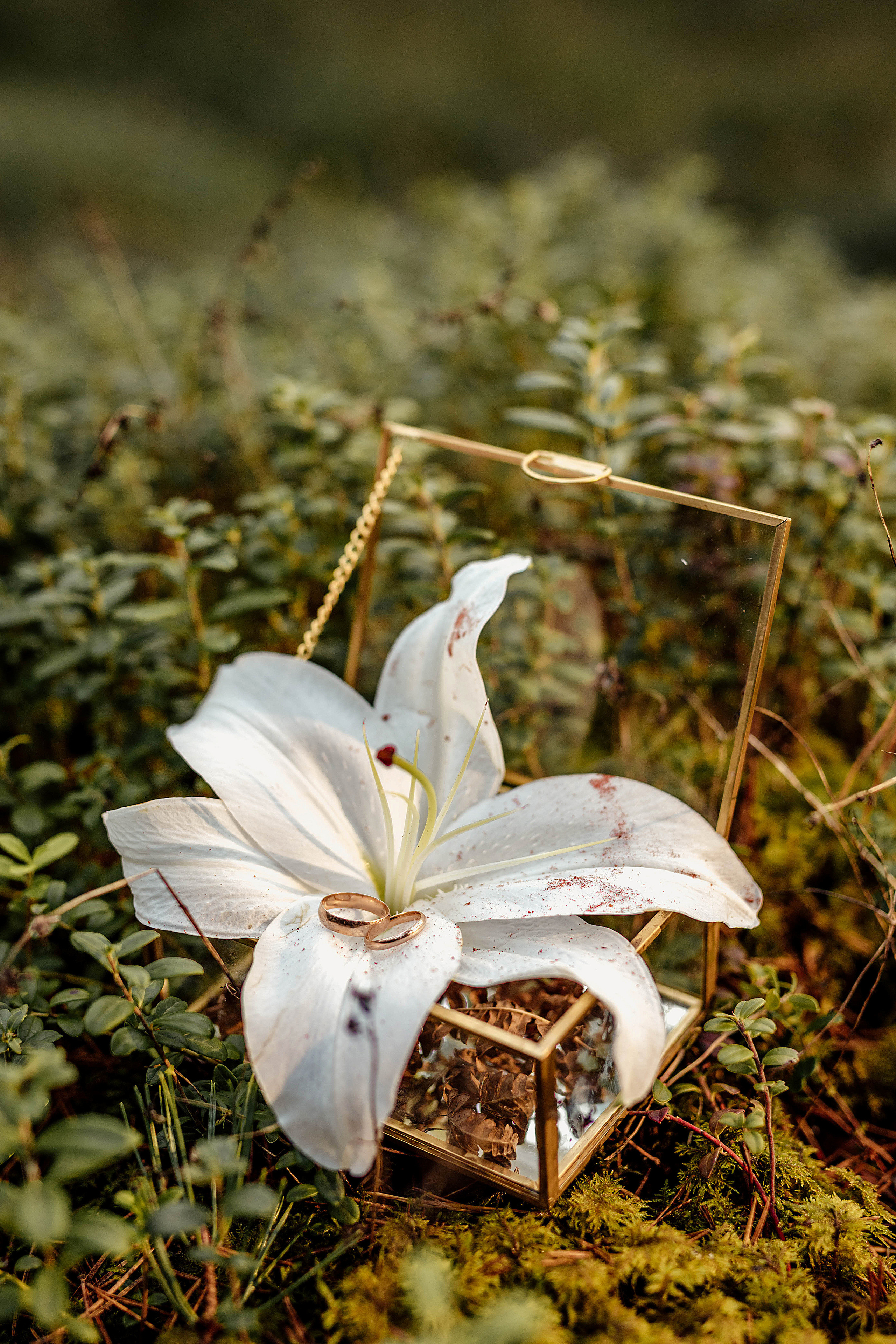 Forest Workshop. Семейный и портретный фотограф в Эстонии Наталья Фрейманис