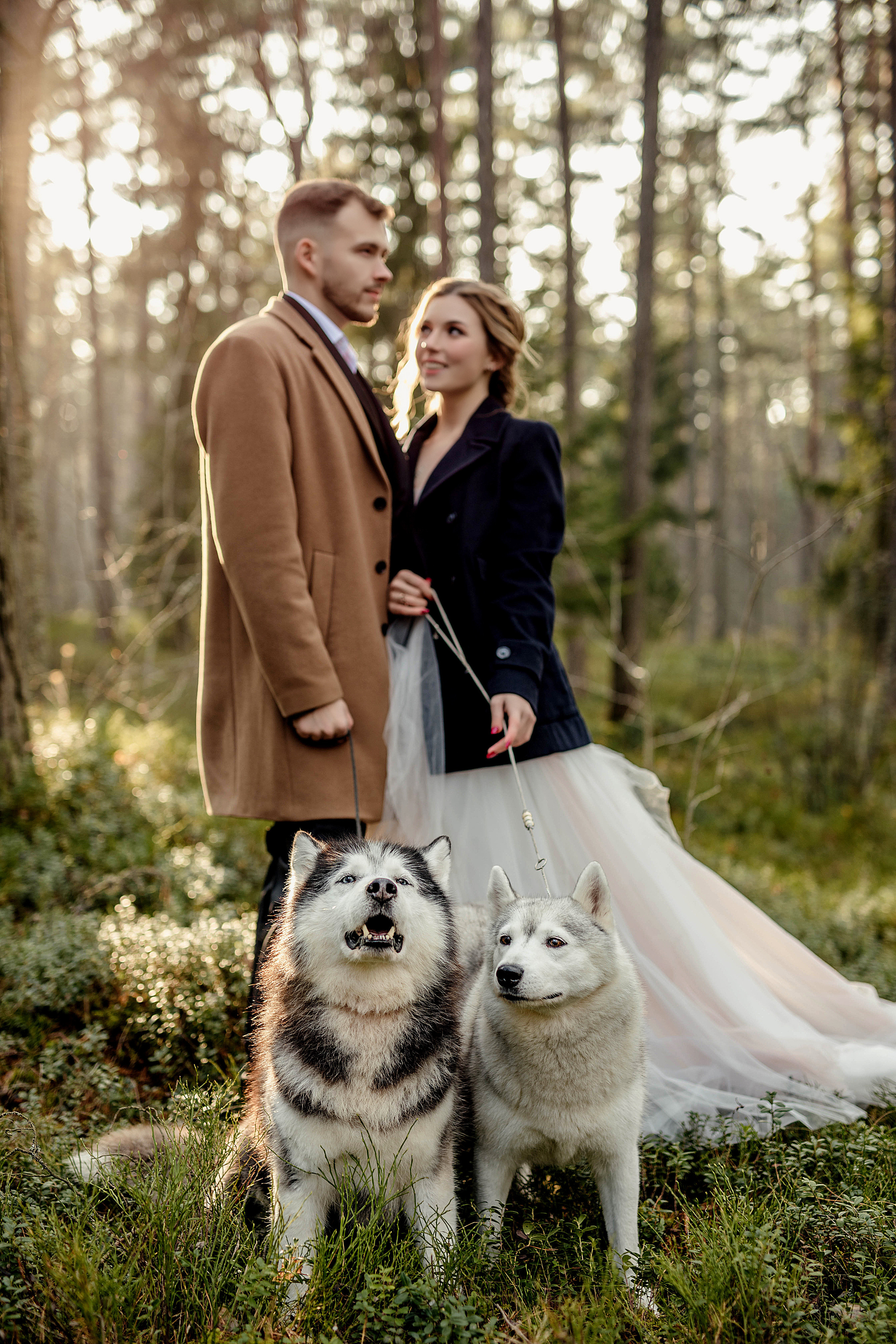 Forest Workshop. Семейный и портретный фотограф в Эстонии Наталья Фрейманис