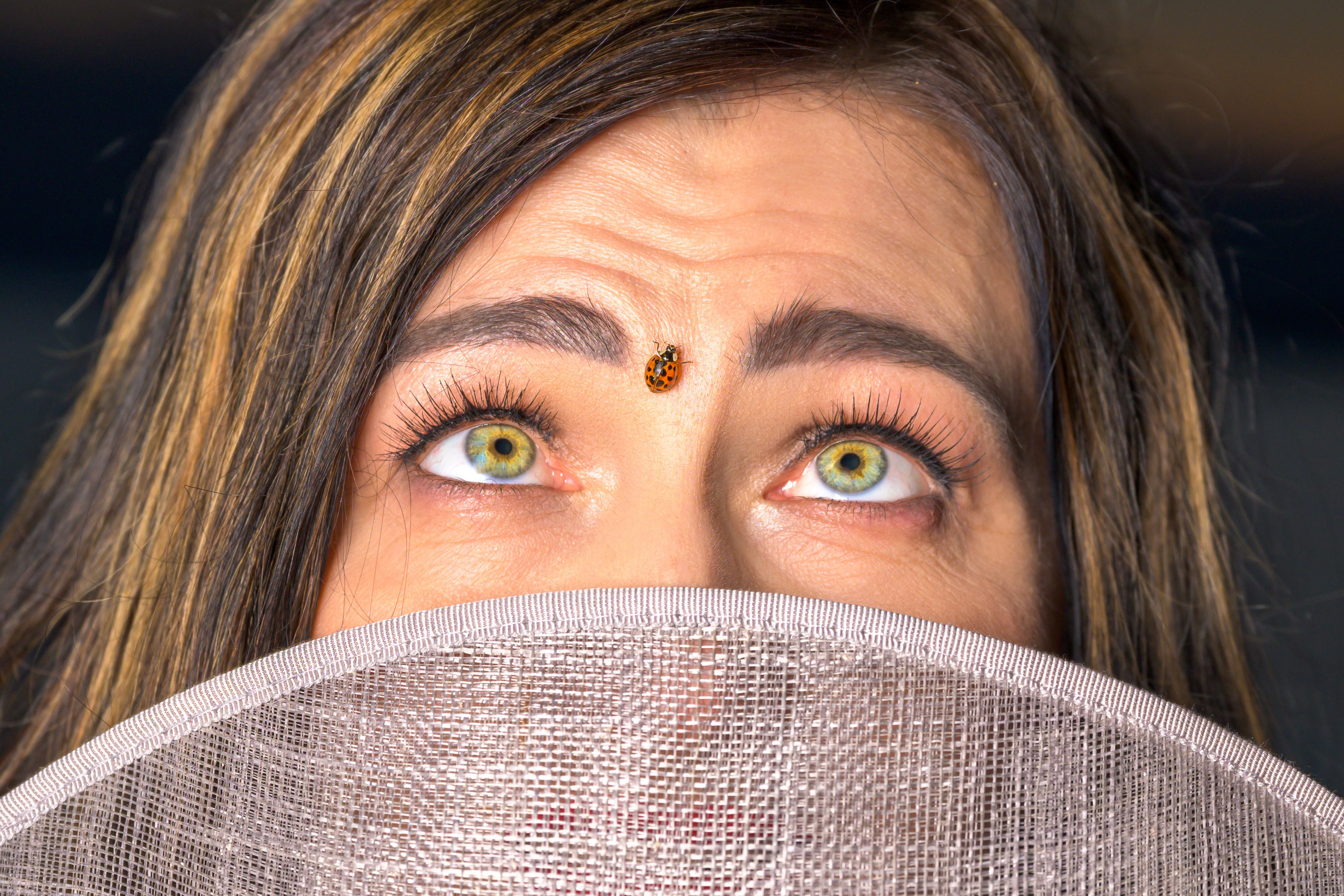 Zehn Schritte zu einem erfolgreichen Fotoshooting