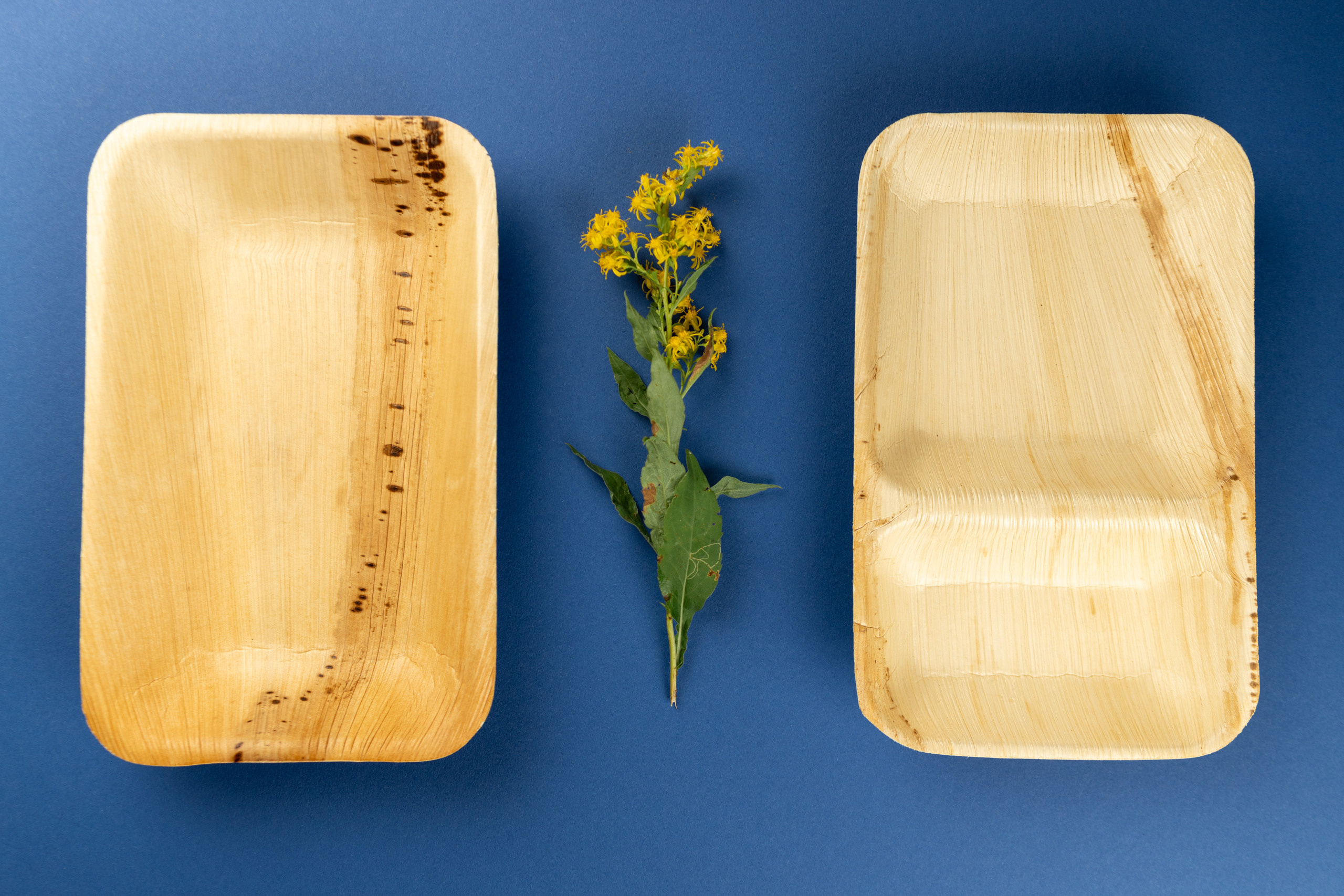 Food & Product Photography. Portree- ja perefotograaf Anton Hansen Tallinnas, Eestis