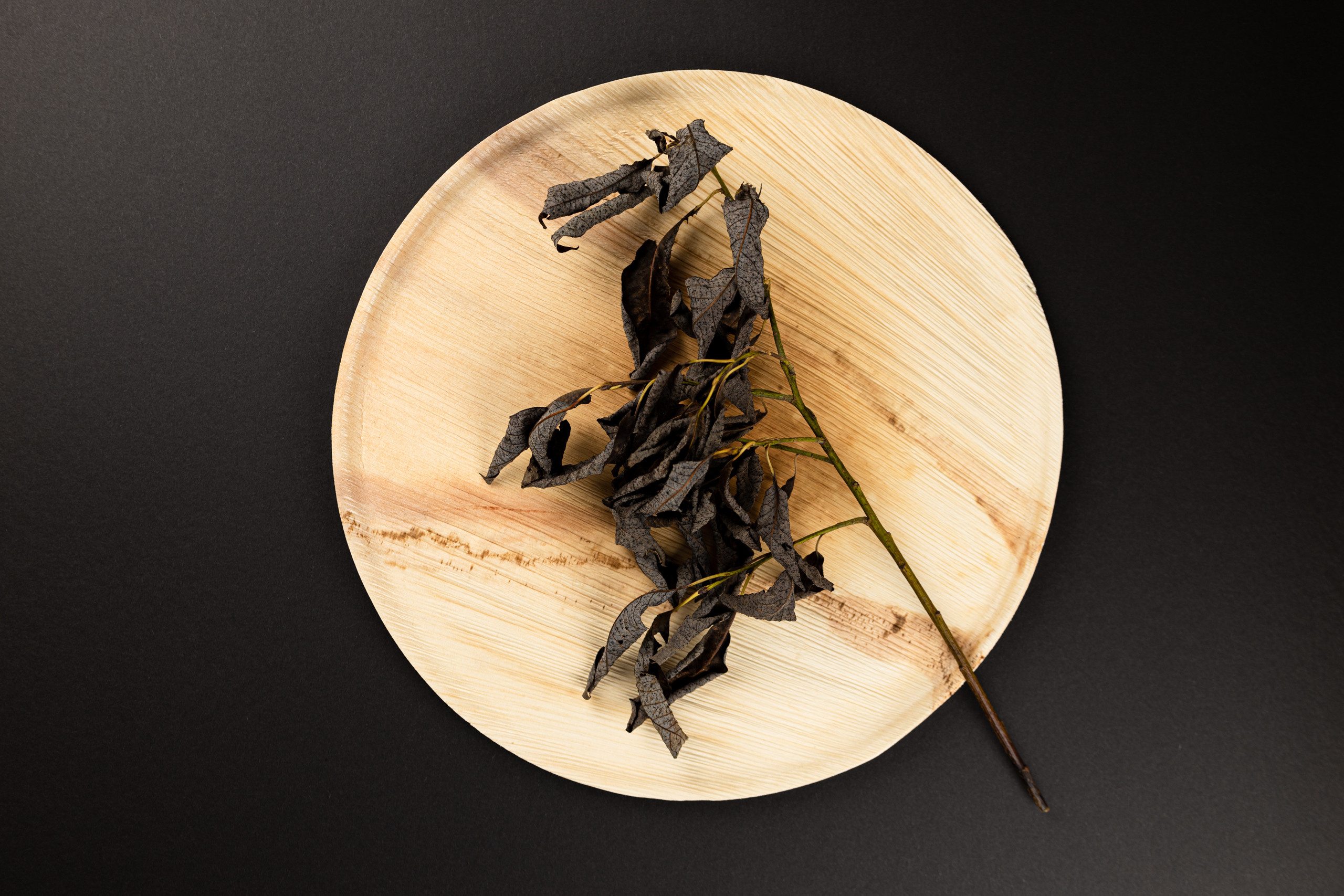 Food & Product Photography. Portree- ja perefotograaf Anton Hansen Tallinnas, Eestis