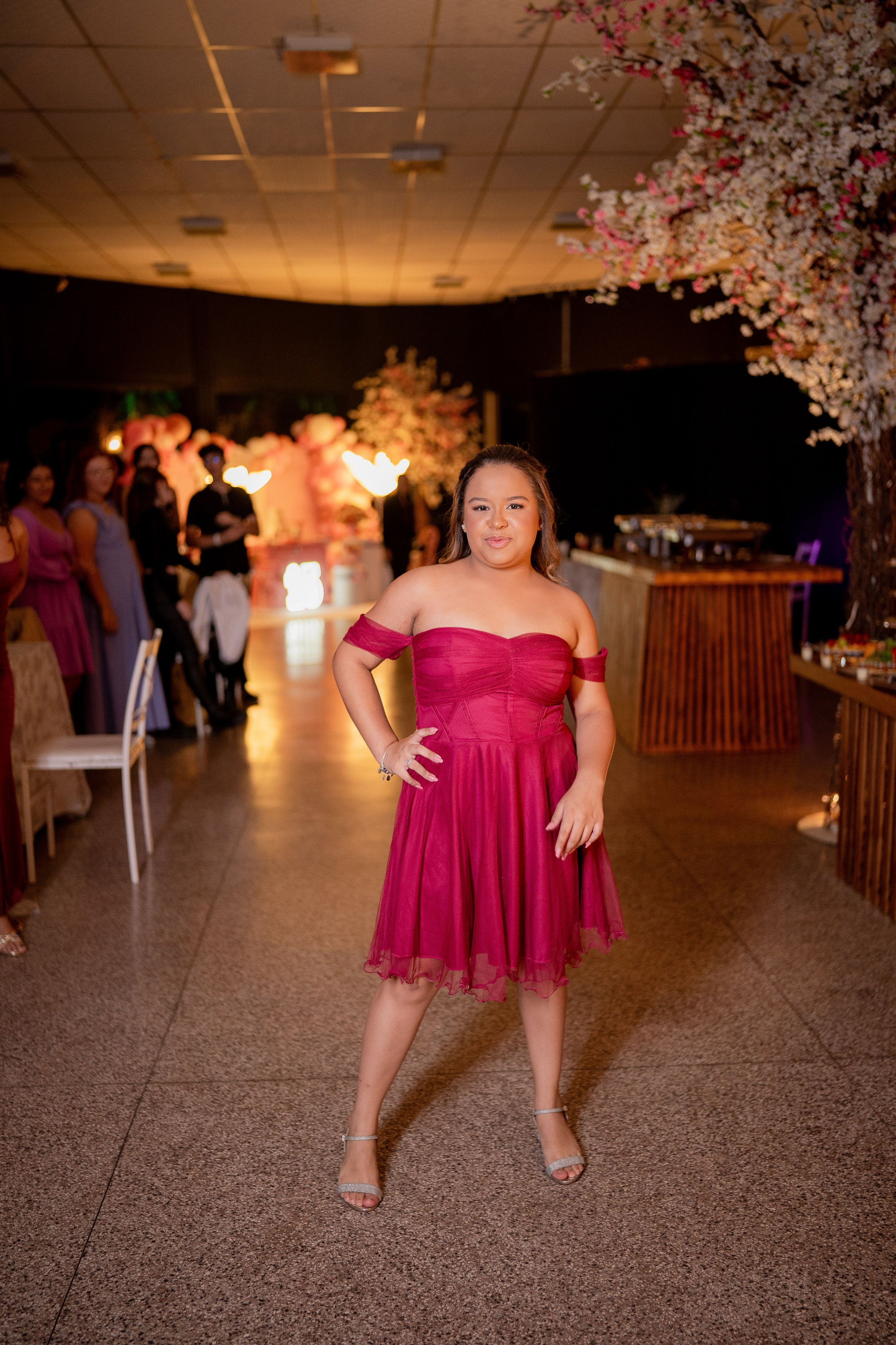 Isabela — 15 anos Buffet Talita Rodrigues / Piratininga — SP. Robson Colaço