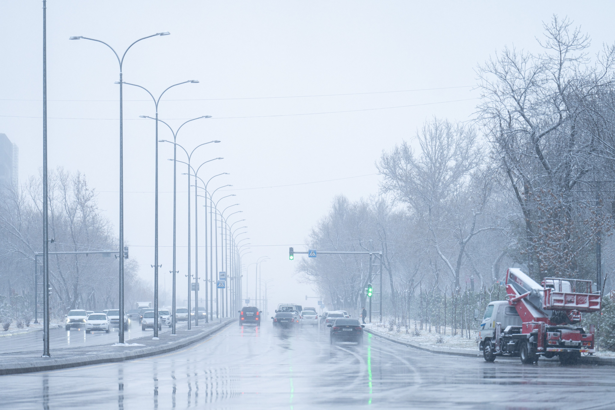 Первый снег в 2024 году. Георгий Намазов | Фотограф в Ташкенте