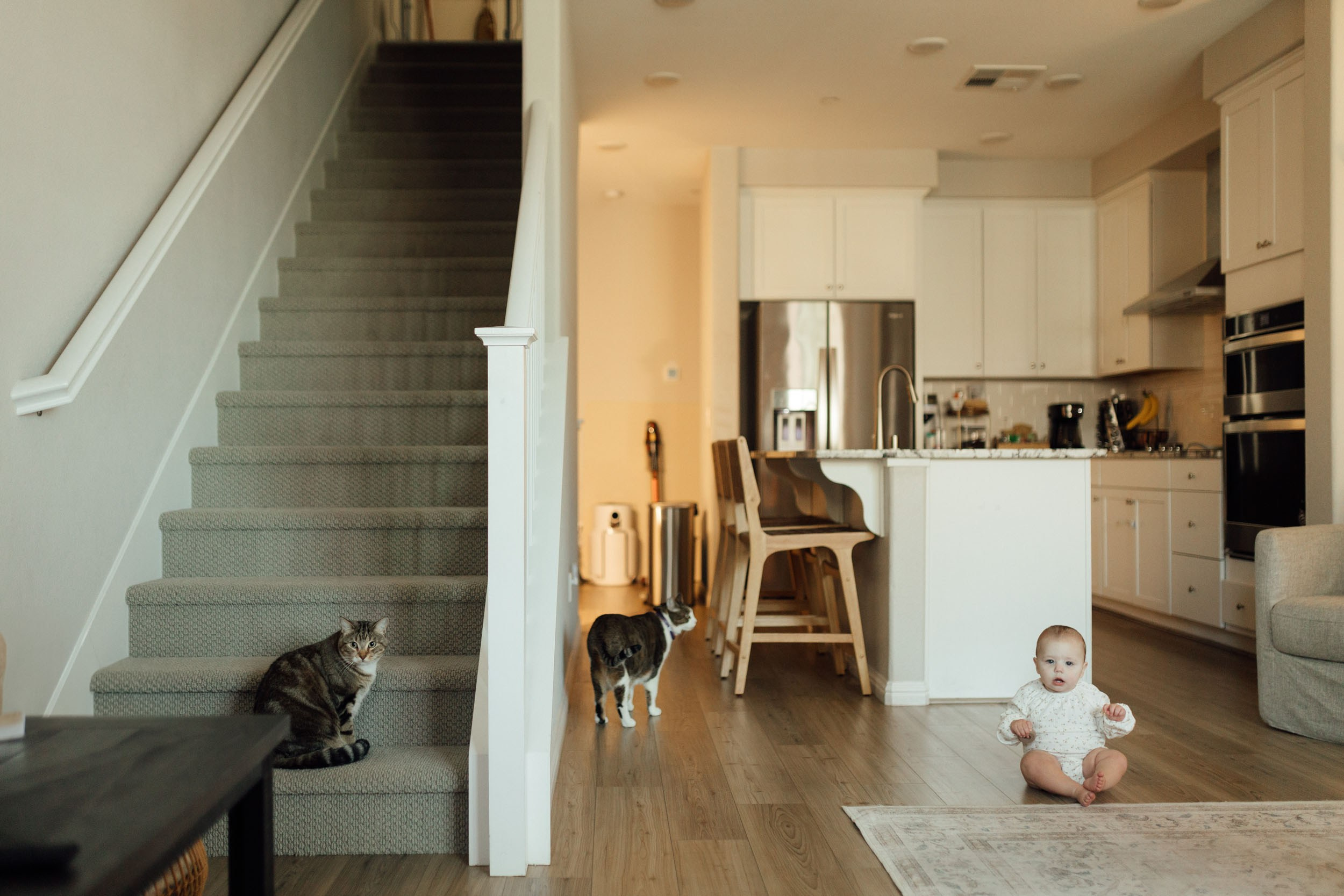 Family Moments with Chloe. Maternity, newborn photographer in the Bay Area|Iryna Rakivnenko