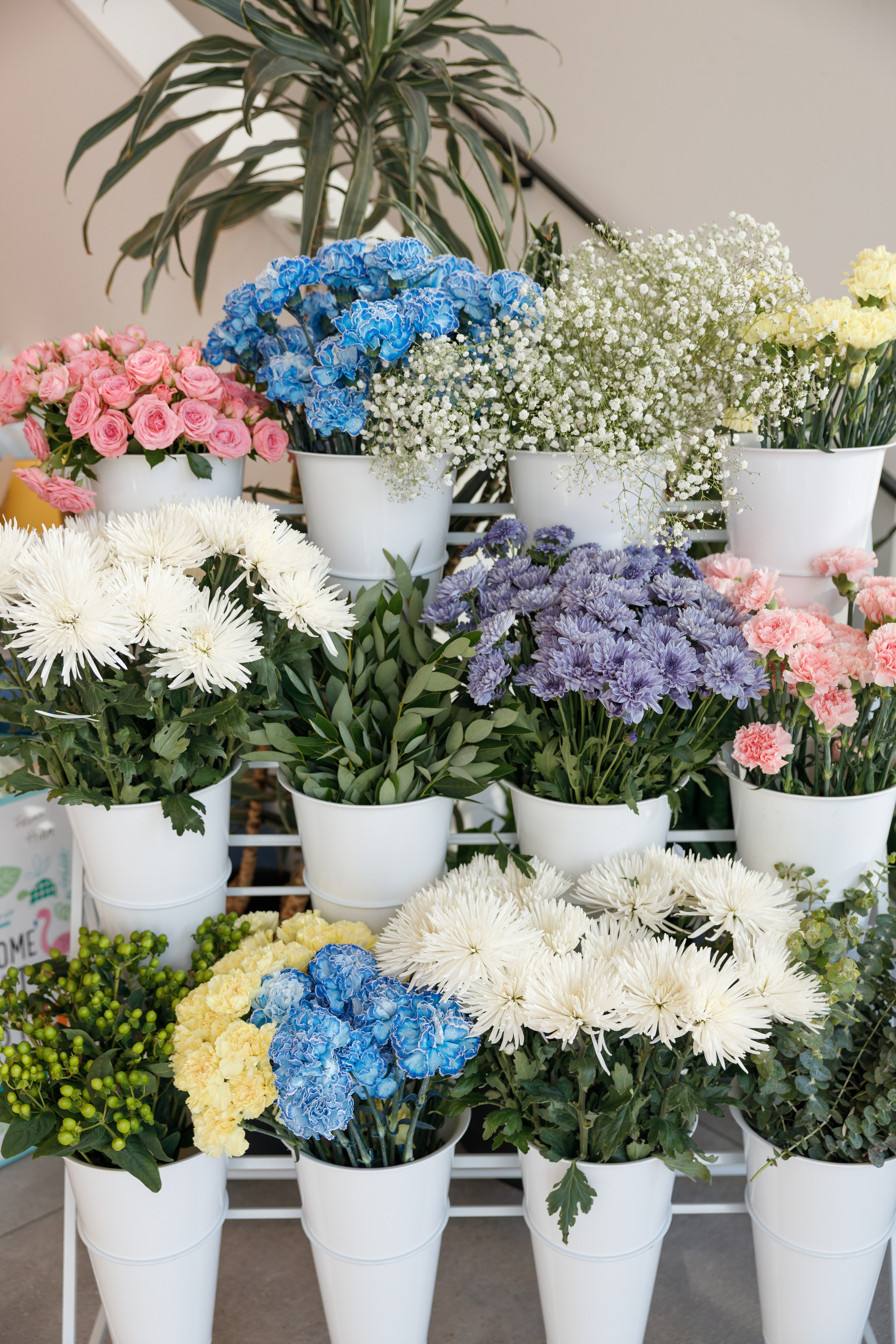 Oh, Baby. Family and Event photographer in Bay Area Elena Tiuriumina