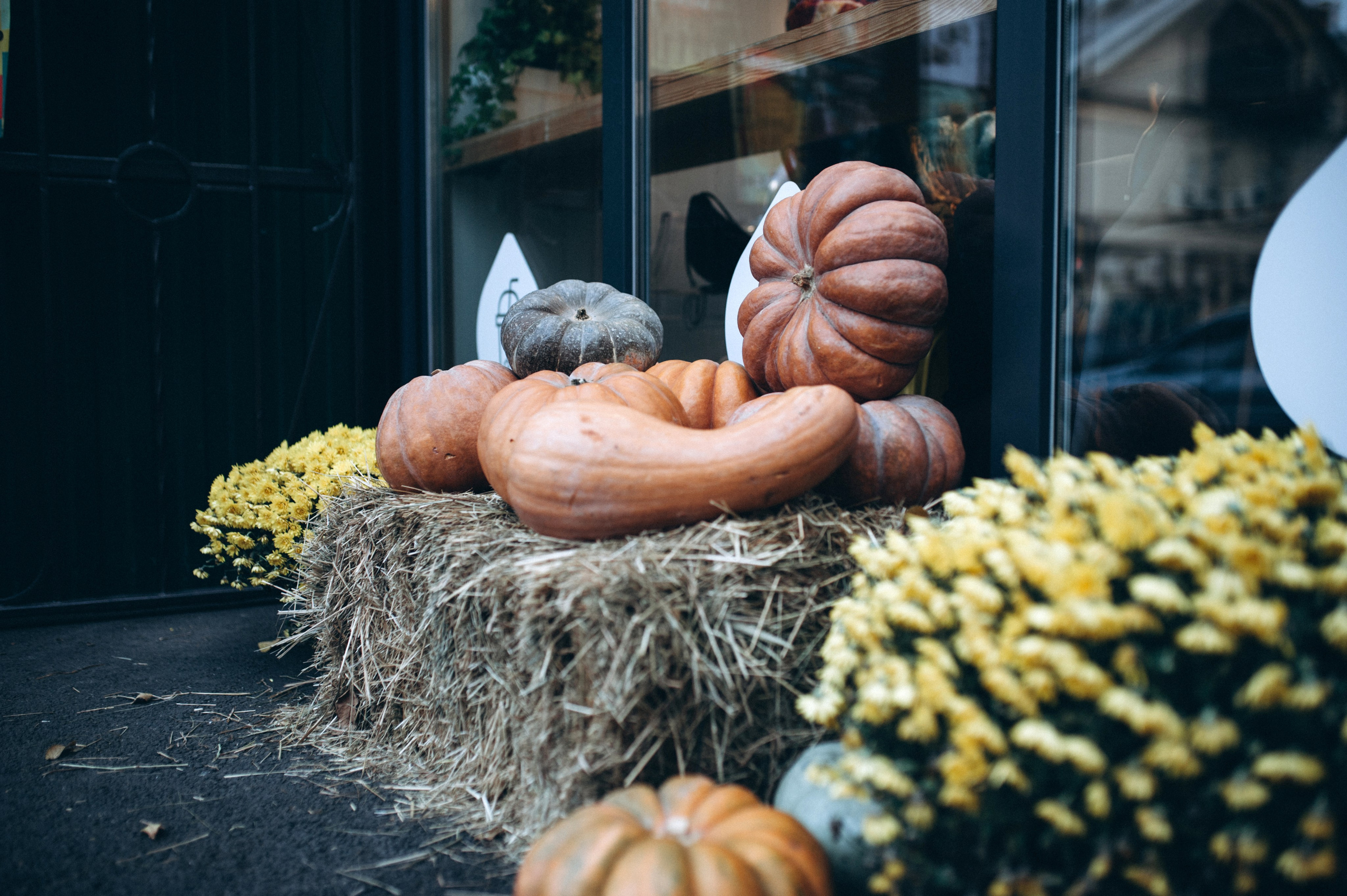 Anna & Serhii. Familien- und Hochzeitsfotografin. Ich arbeite in Koblenz und Rheinlan
