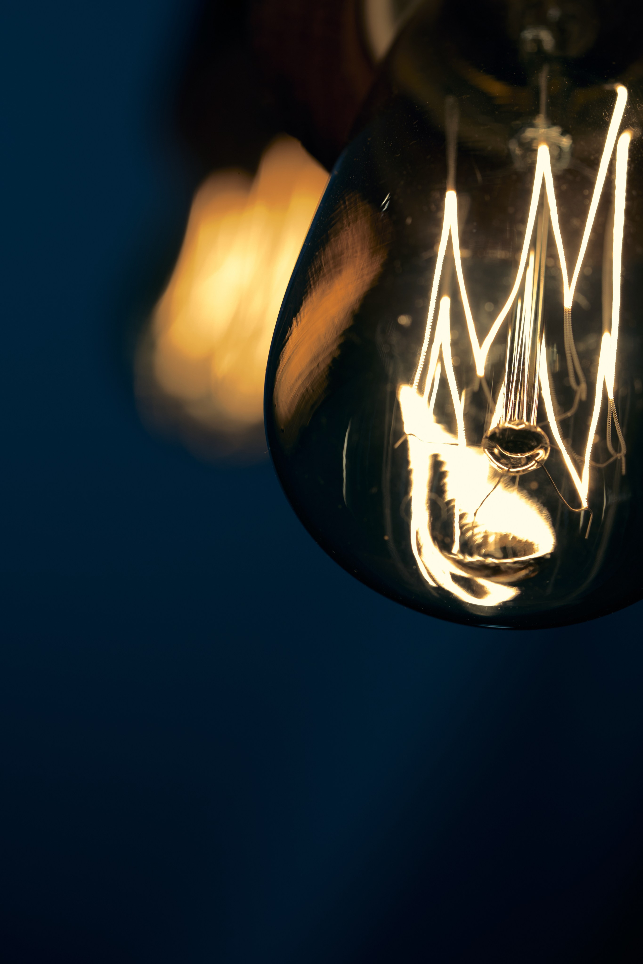 Macro photo. Yoli Park