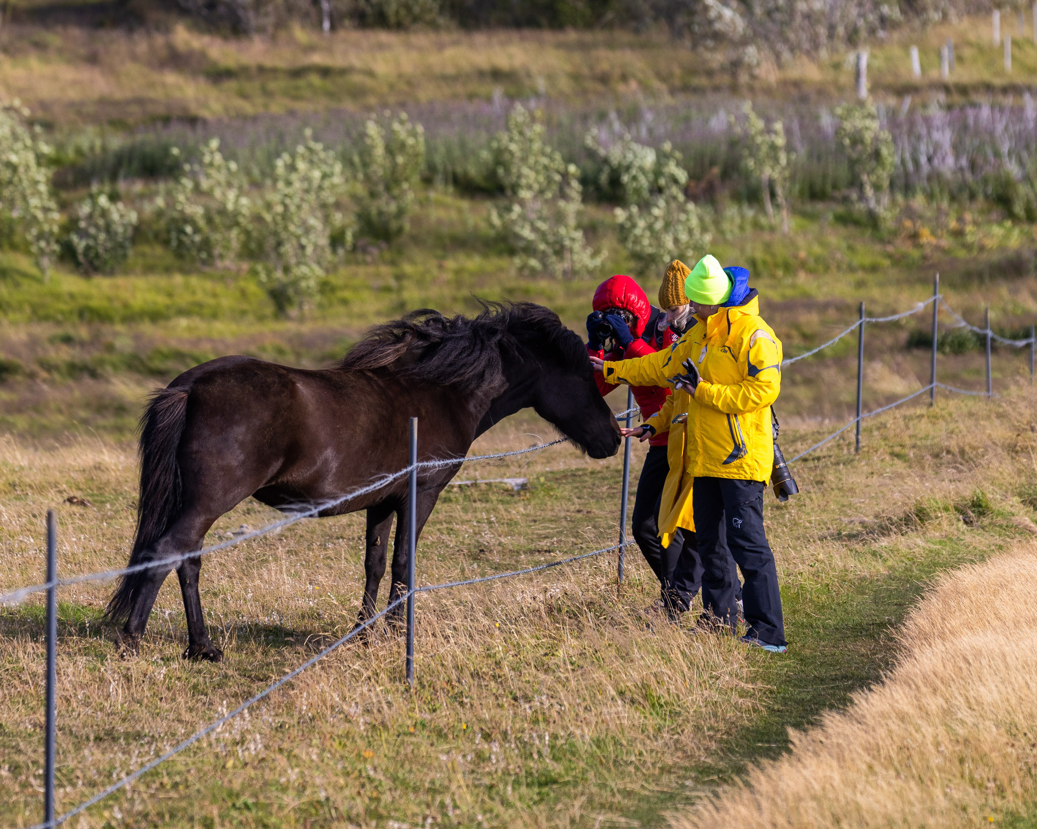 Iceland Hiking Adventure. Pet, Senior, Landscape, portrait studio, photographer in Miami and Sou