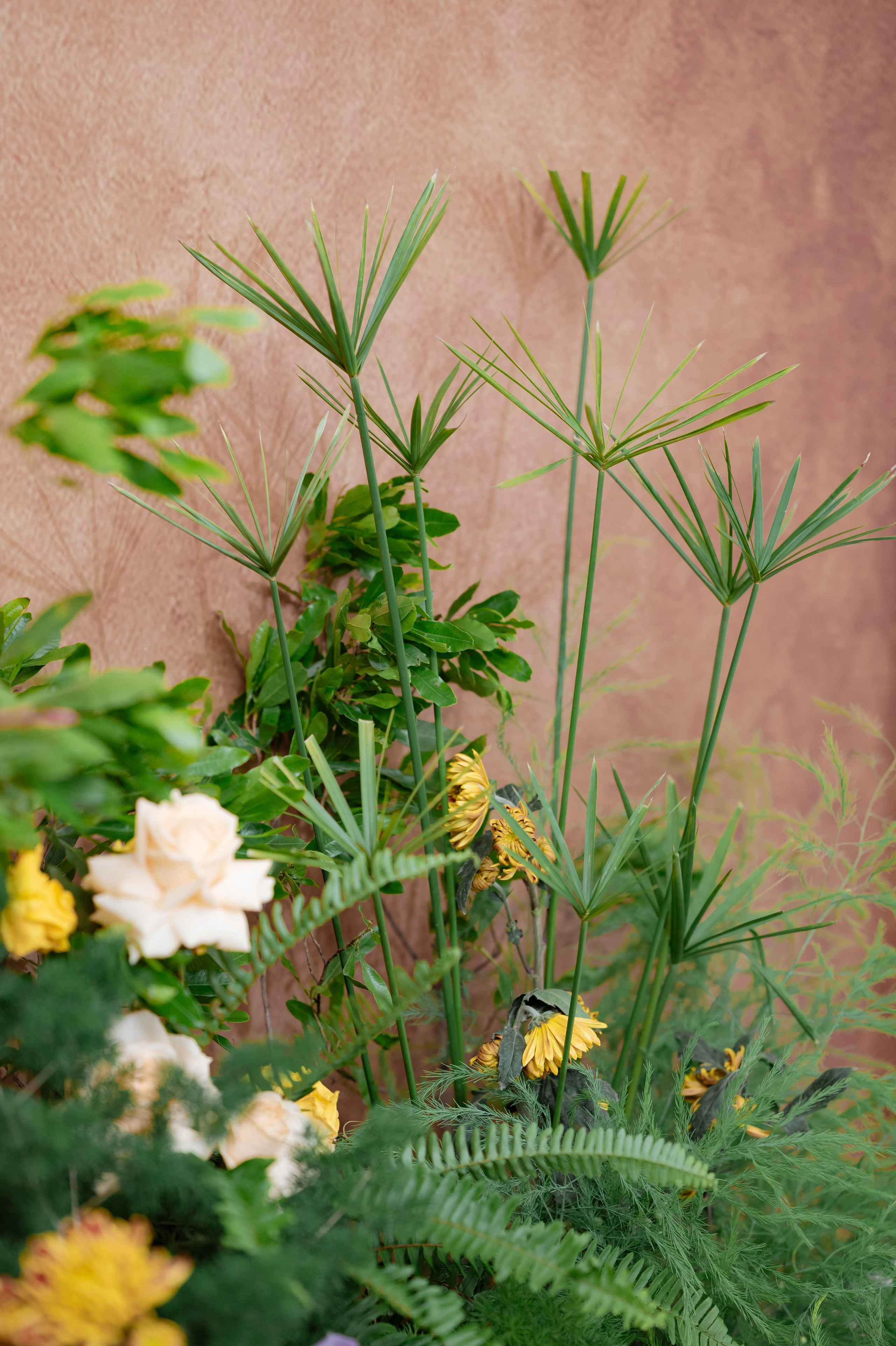 DUC & CHAU. WEDDING PHOTOGRAPHER IN VIETNAM