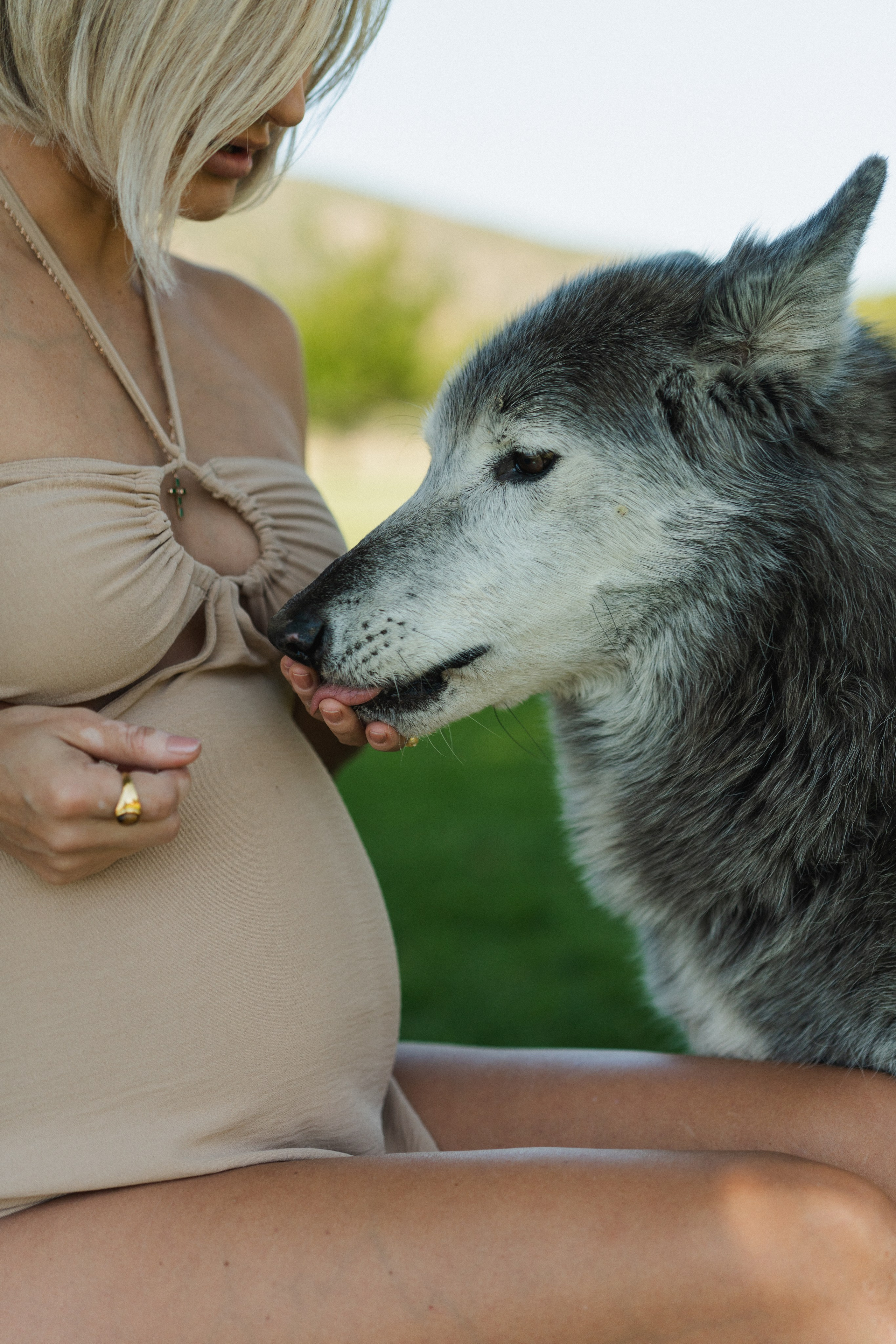 Kristina and Baby Wolf. Pregnancy Photoshoot. Portrait, family, maternity & wedding photography & videography in SoCal Kseni Vibe