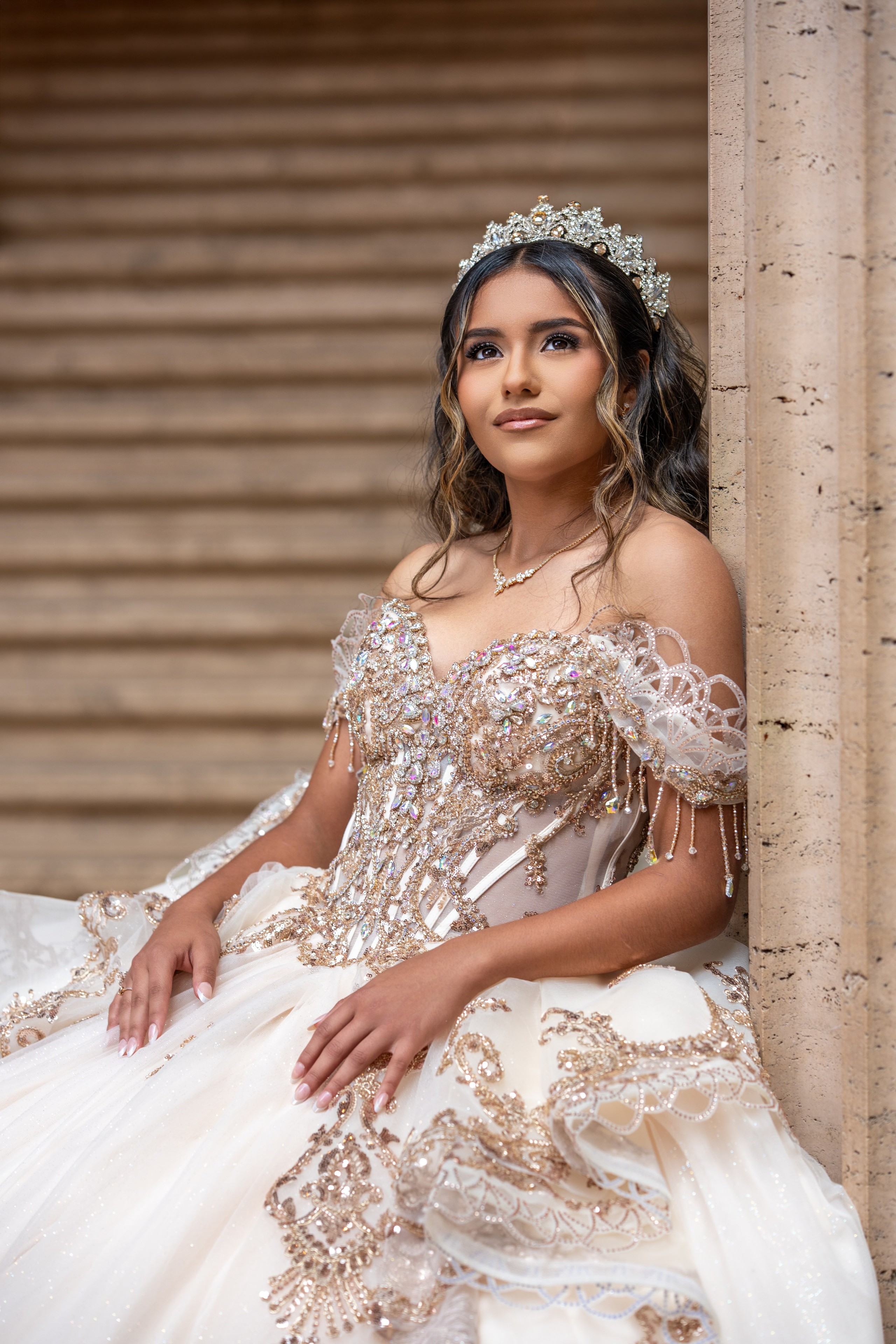 SOFIA XV AÑOS. Quinceañera y Bodas