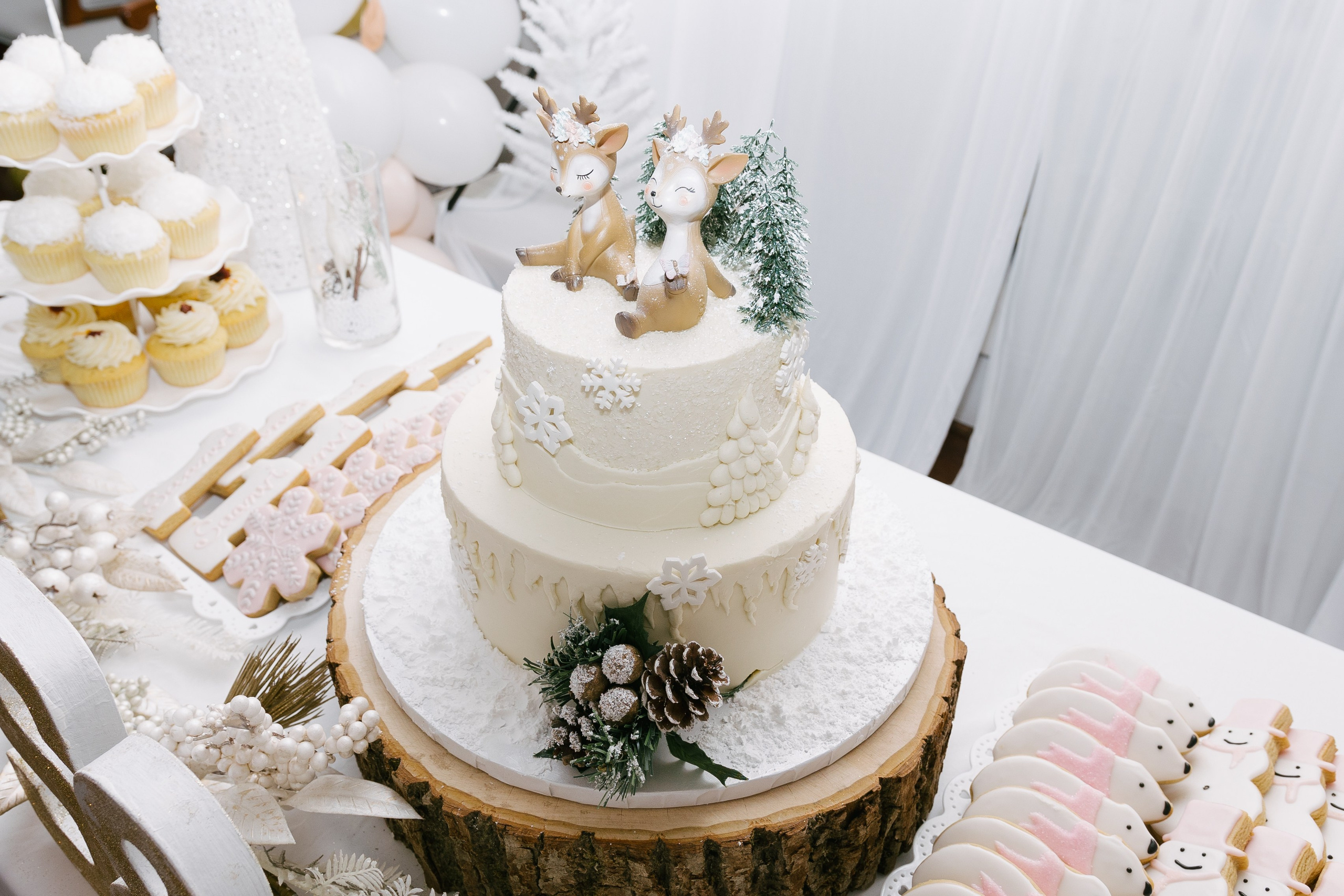 Twins Birthday. Sara Eulalia | Virginia Photographer