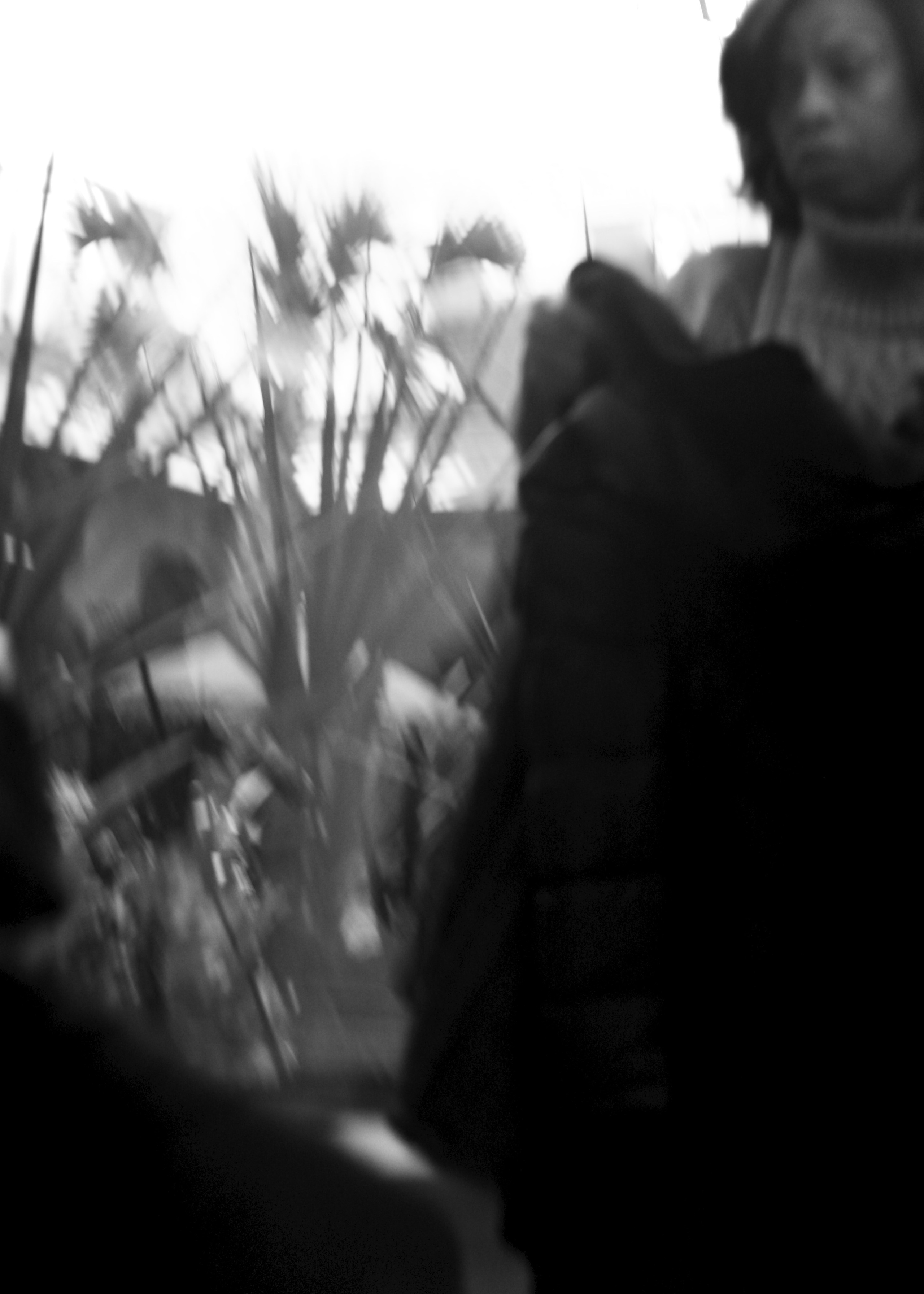 Monochrome. Sonny Photos