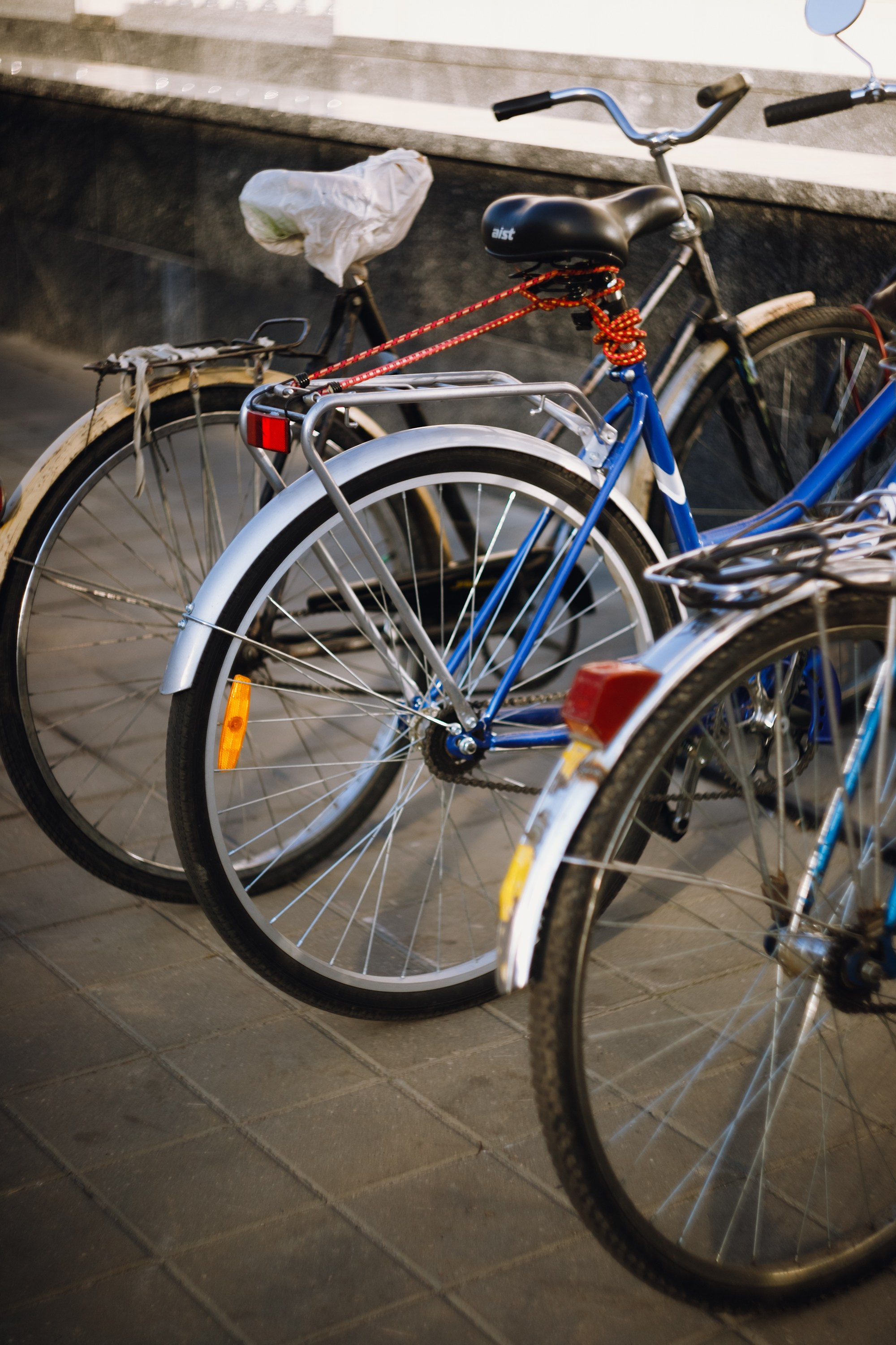 Grandmother's home in Brest. Kaja | fotograf we Wrocławiu | ludzie i psy