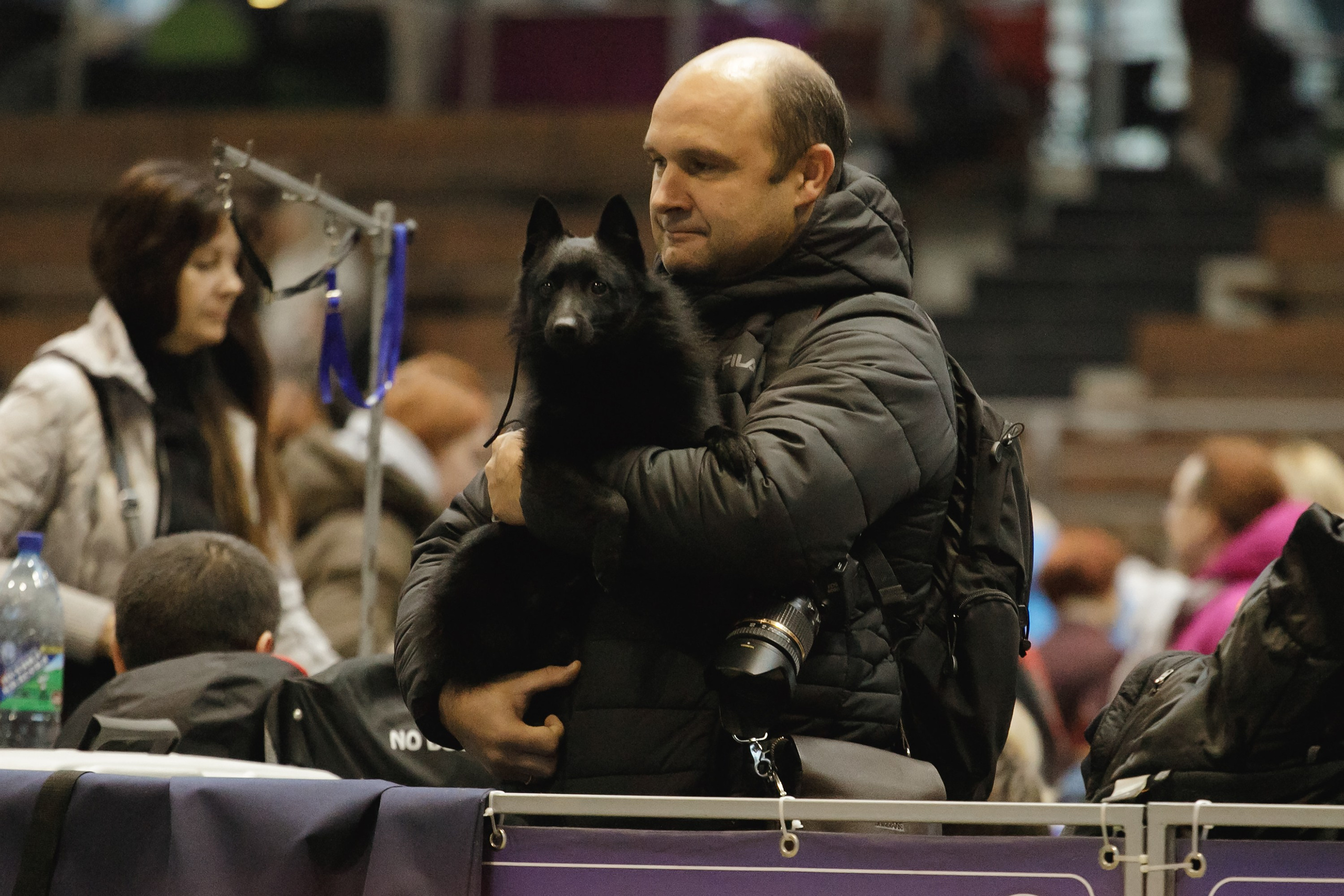 Dog shows | the best ones. Kaja | fotograf psów we Wrocławiu