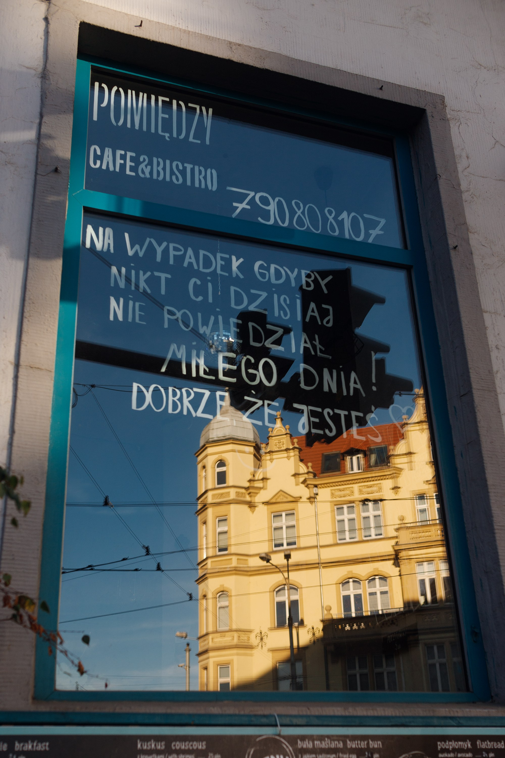 Wroclaw | the best ones. Kaja | fotograf psów we Wrocławiu