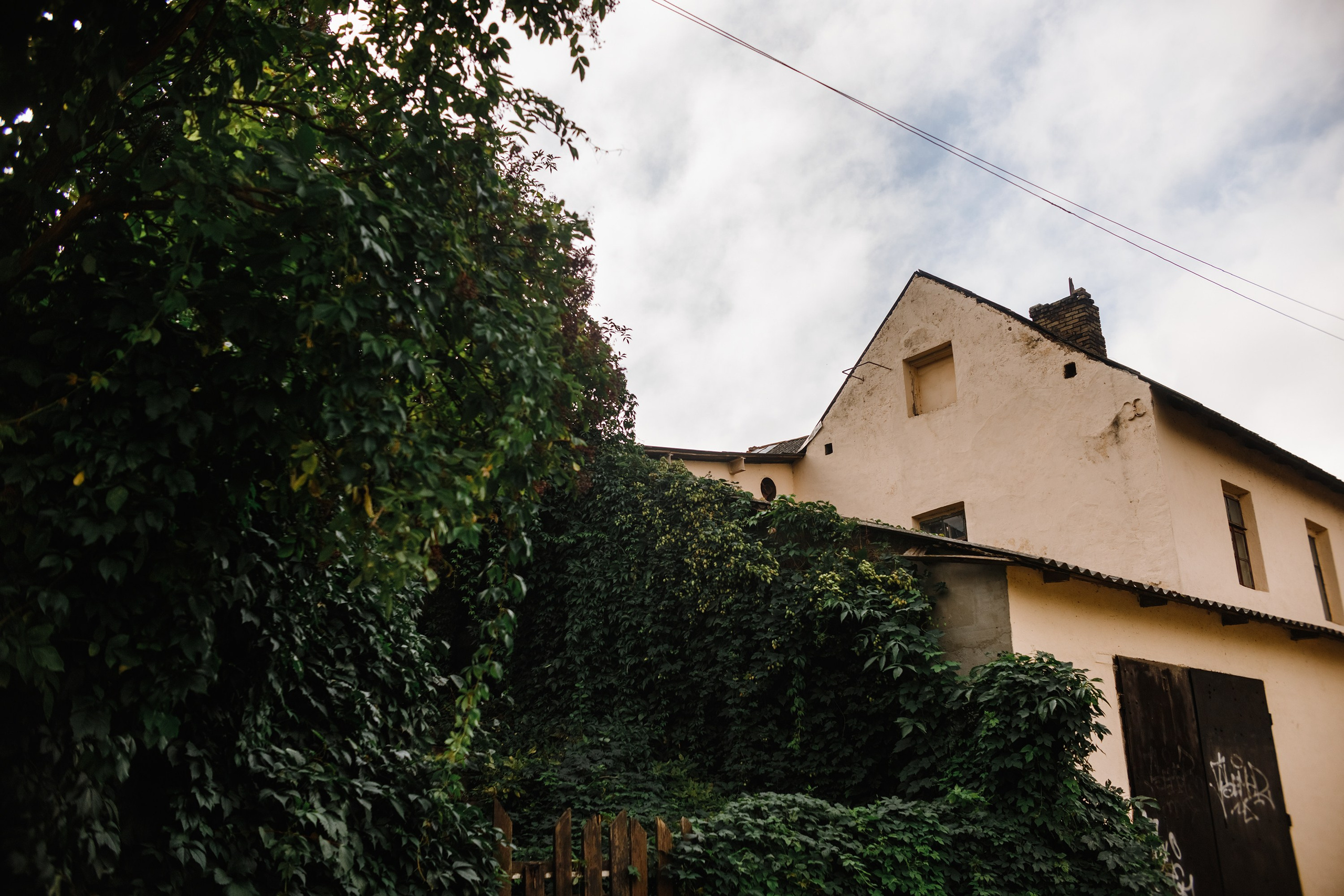 Grodno. Kaja | fotograf we Wrocławiu | ludzie i psy