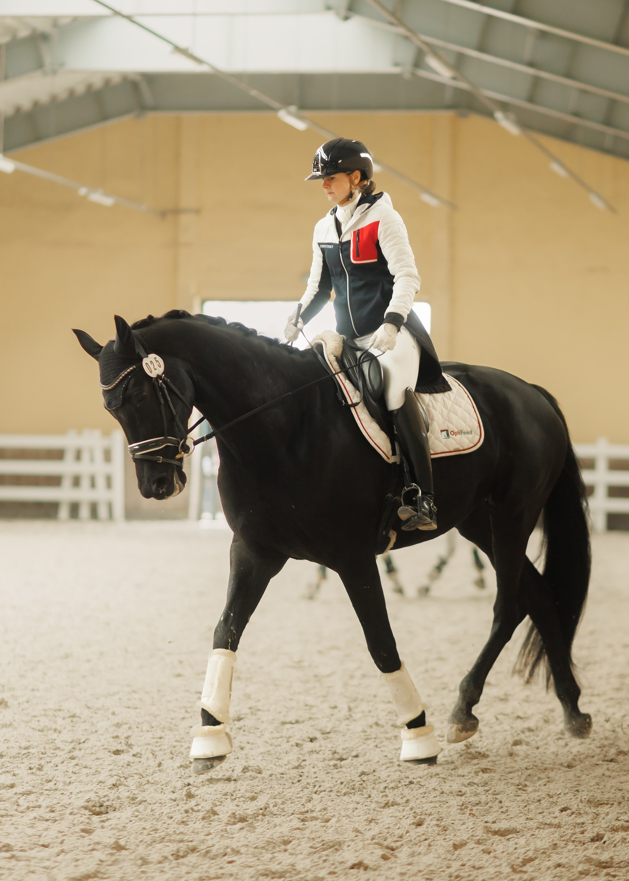 Fotografia koni Wrocław \ ujeżdżenie, Partynice. Kaja | fotograf we Wrocławiu | ludzie i psy