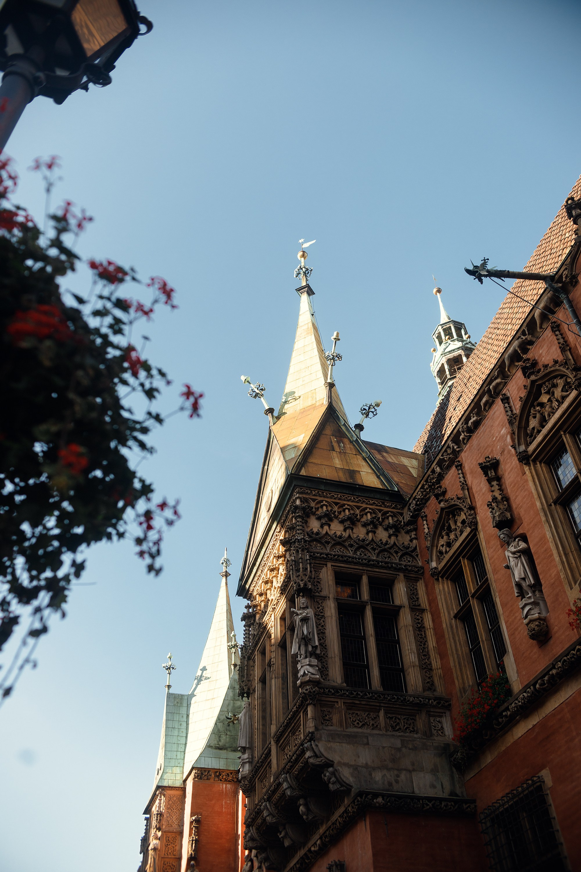 Wroclaw | the best ones. Kaja | fotograf psów we Wrocławiu