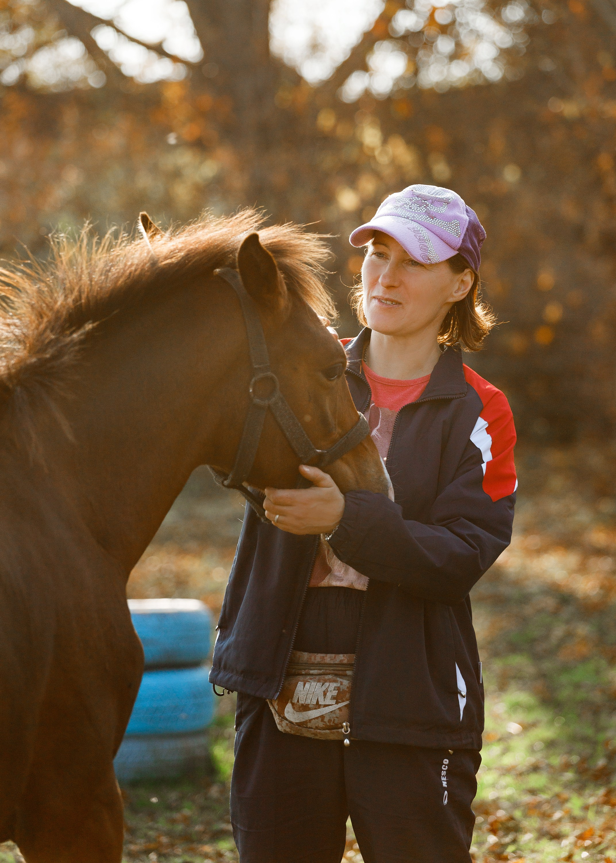 Autumn equestrian training. Kaja | fotograf psów we Wrocławiu