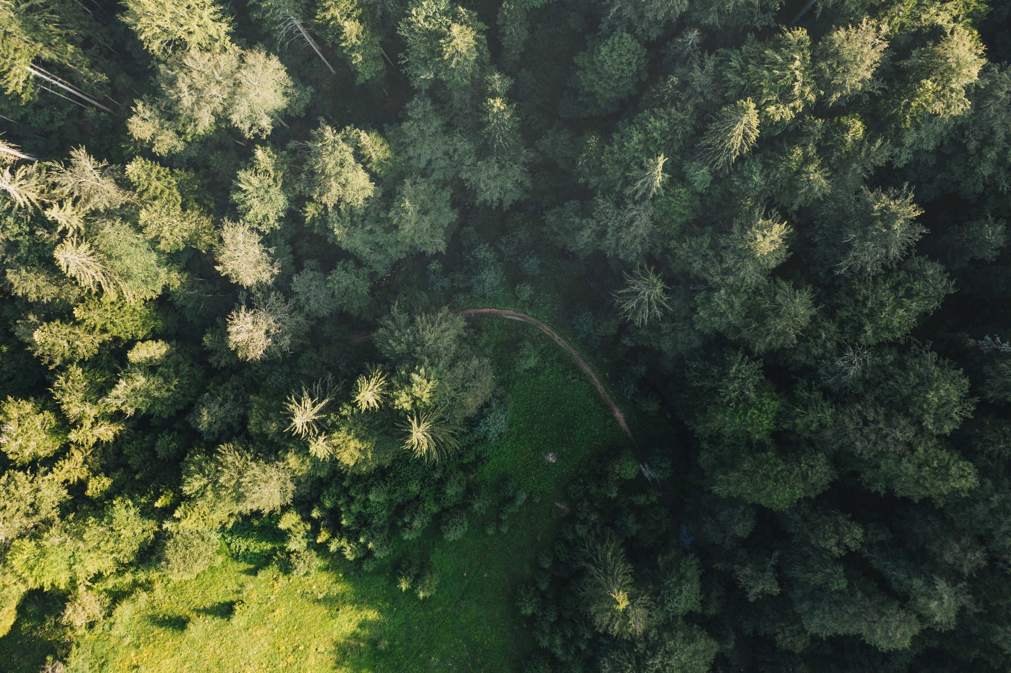 Landscape photography. Wedding photography