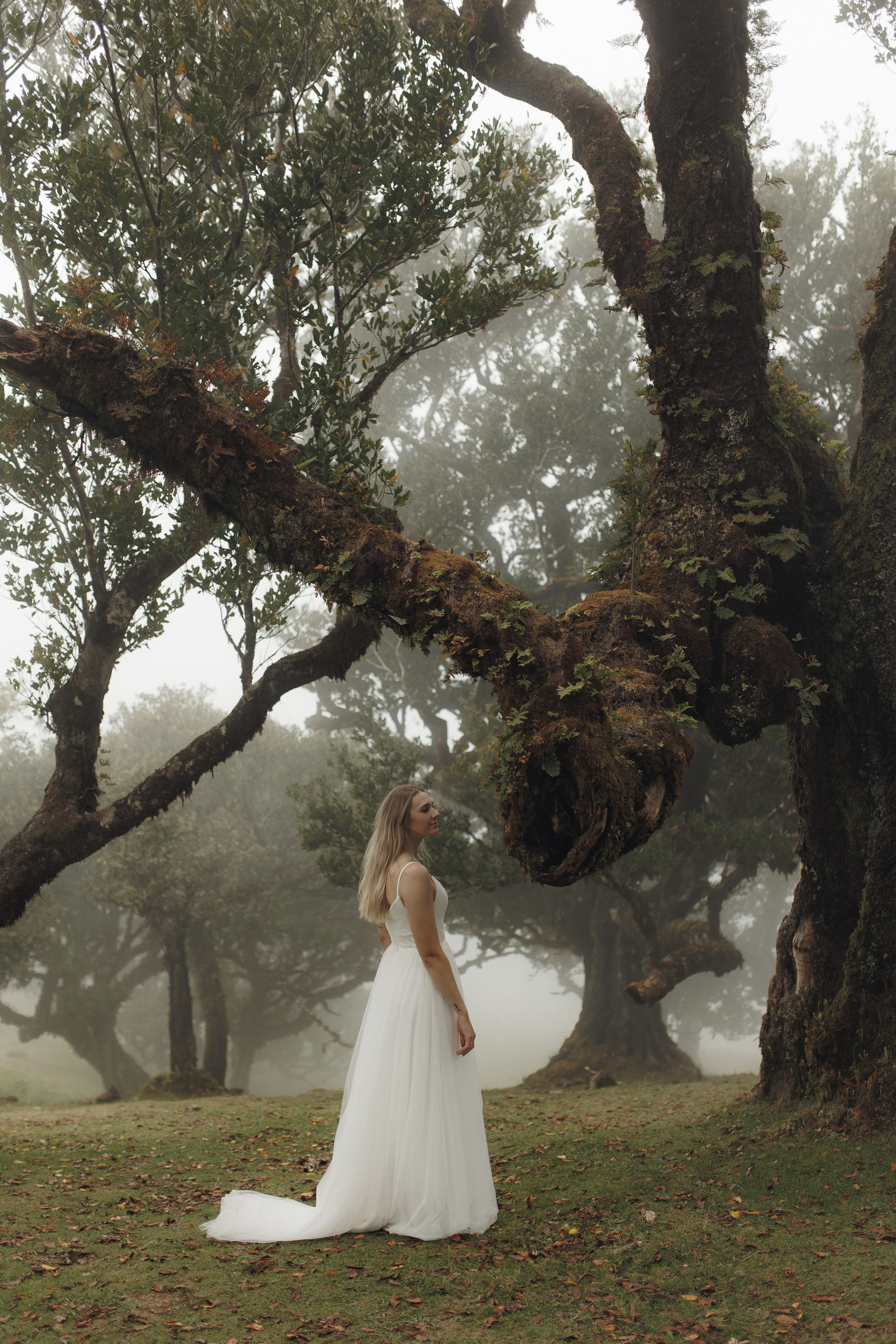 Elopement in Madeira | Mystical Forest of Fanal. Wedding photographer and videographer based in Timisoara, Romania