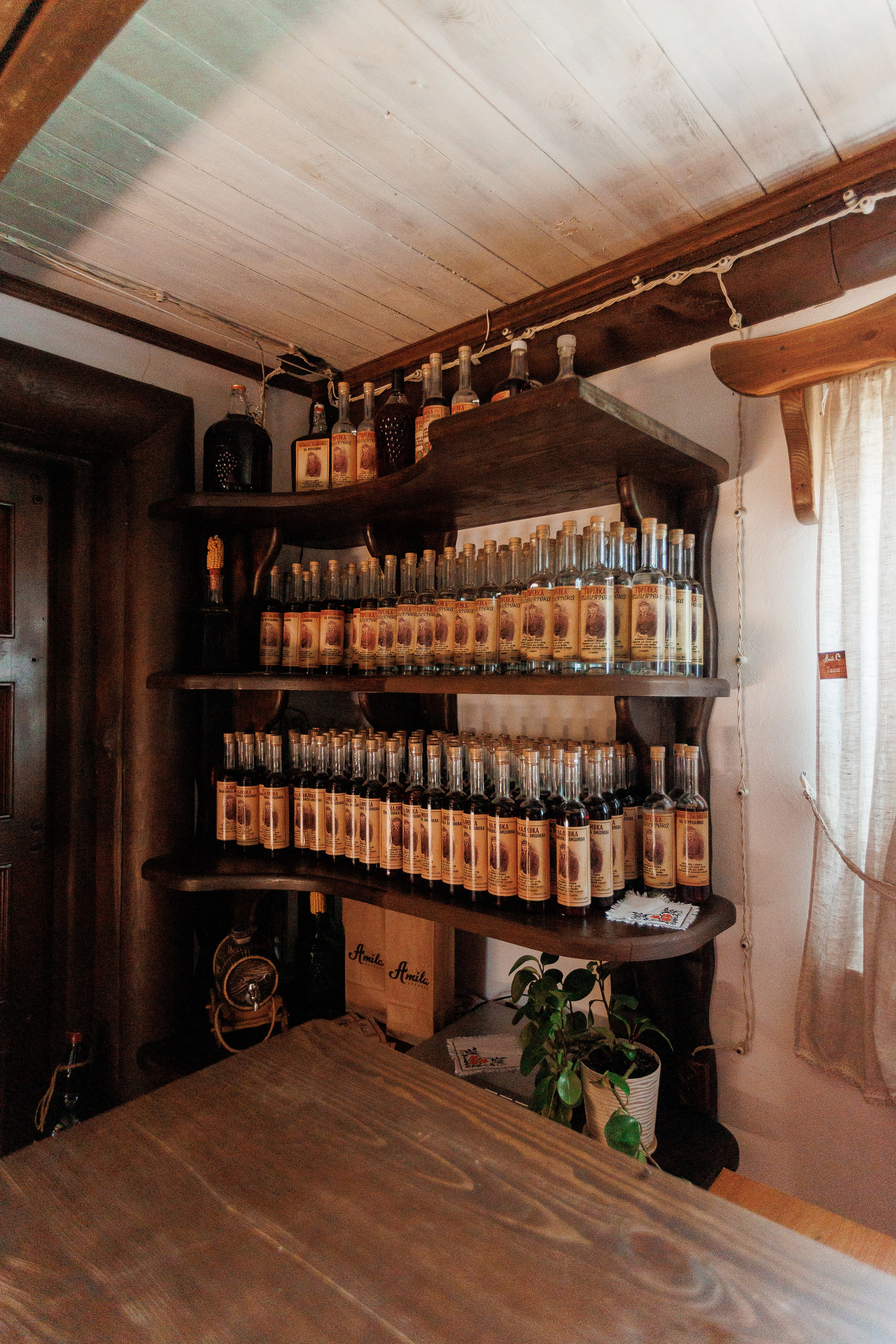 Екопарк Аміла. Ірина Терещук