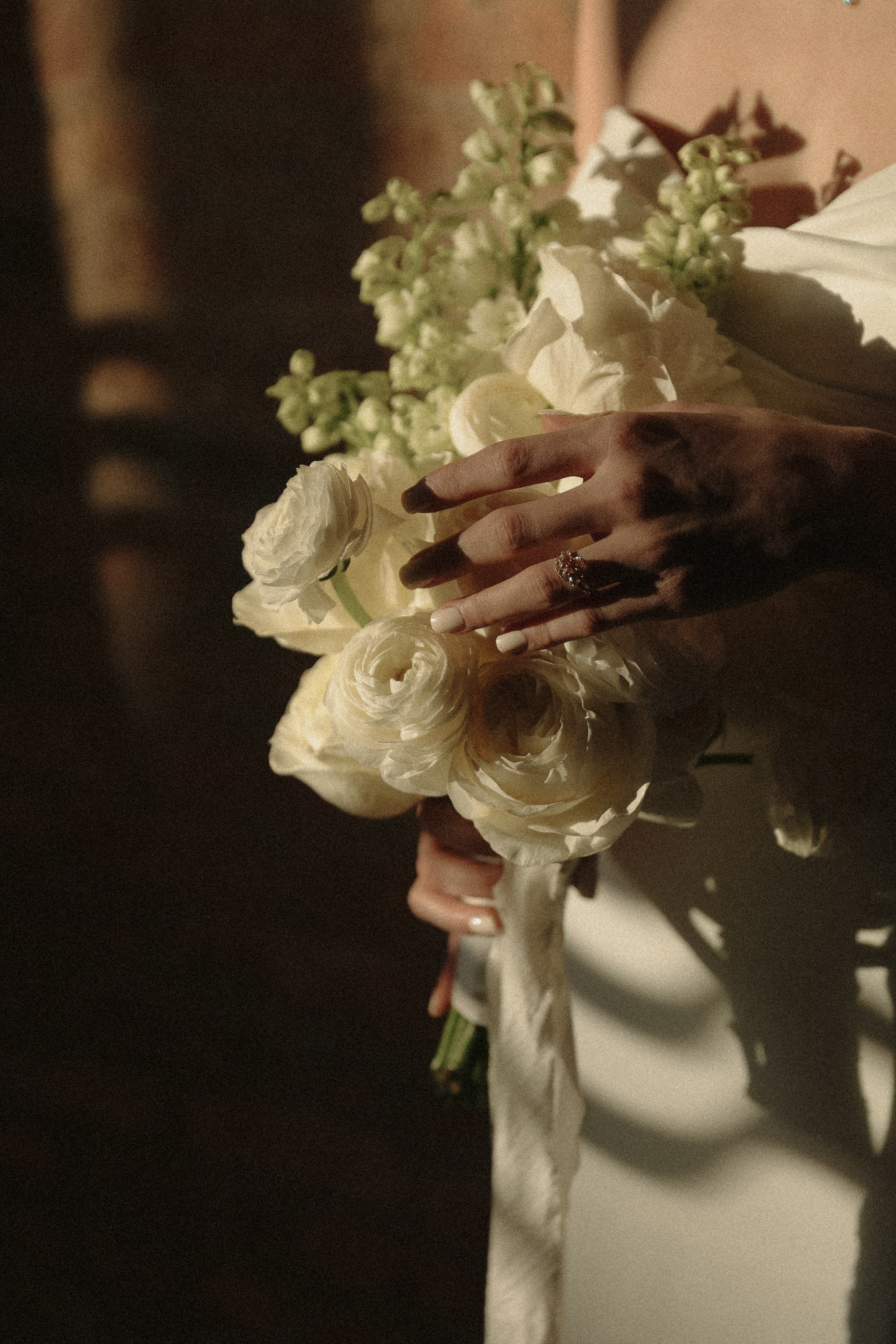 Tori&Xander. Couple photographer in Chicago