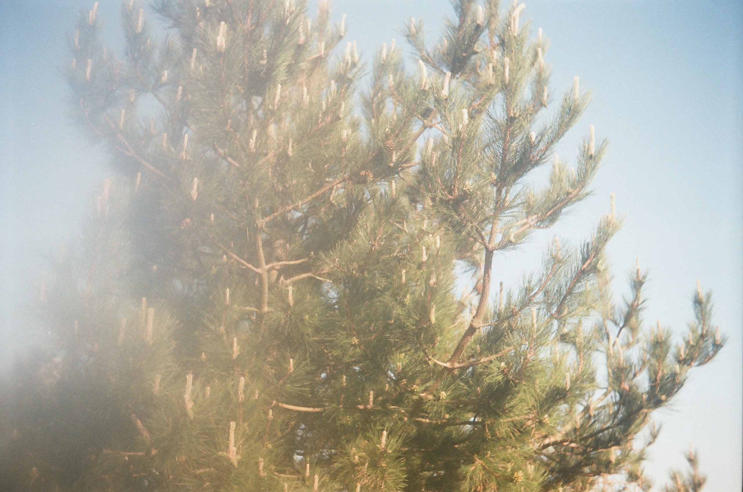 Folkestone (England, UK) 2025. Elena Zykova film photographer in London