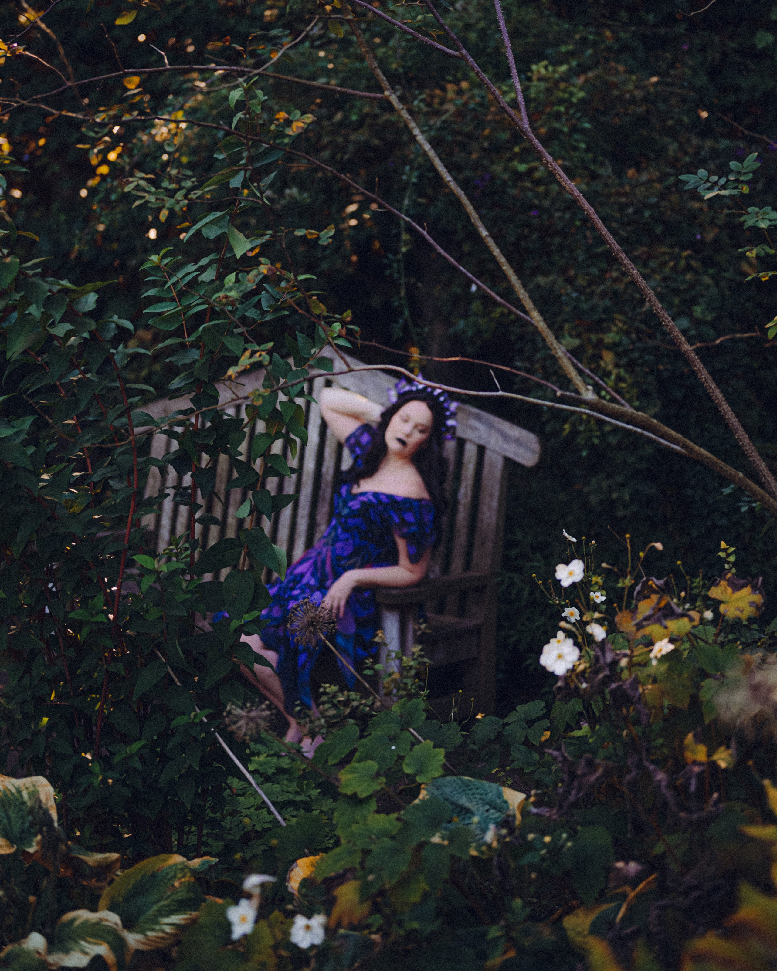 Butterfly purple fairy in a blooming garden. Moth & Moss Photography