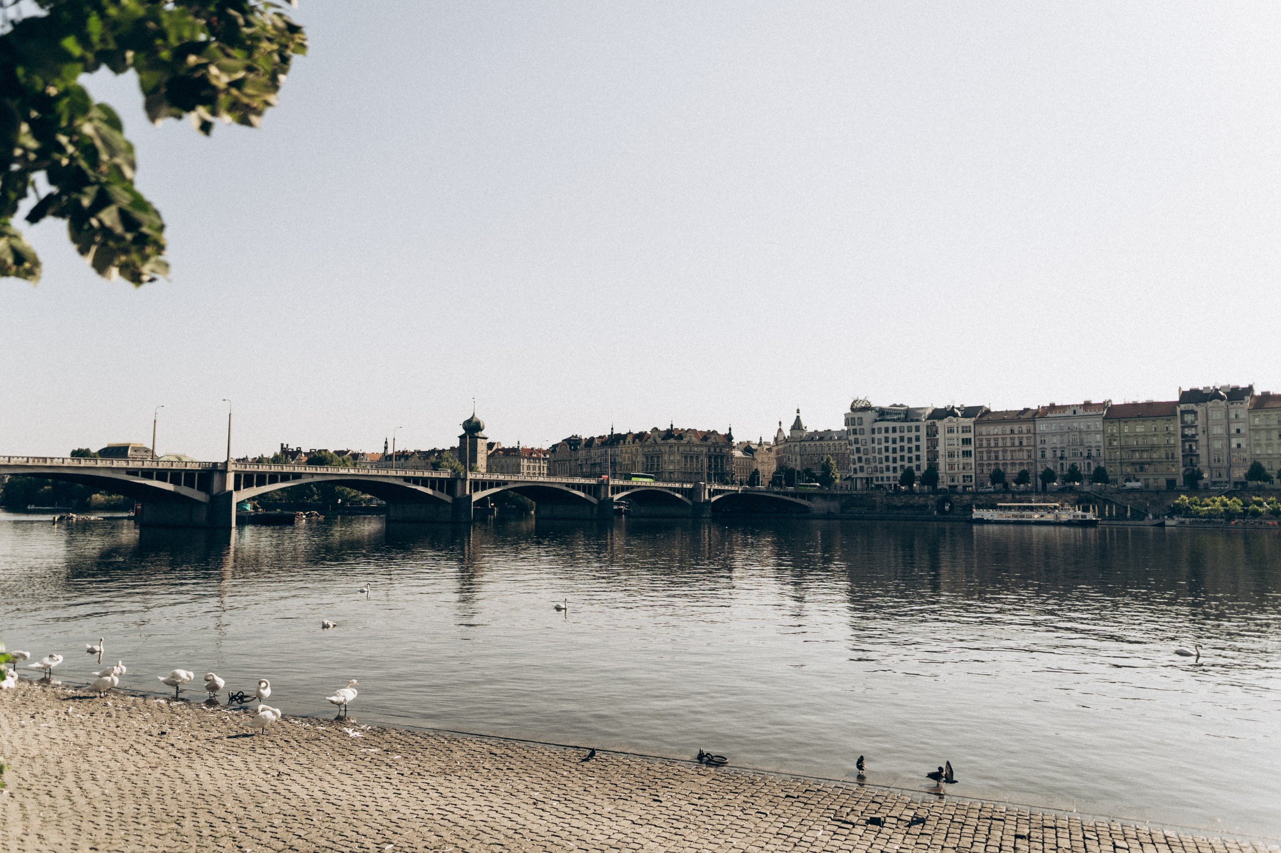 . Фотограф в Праге Анна Лебедева