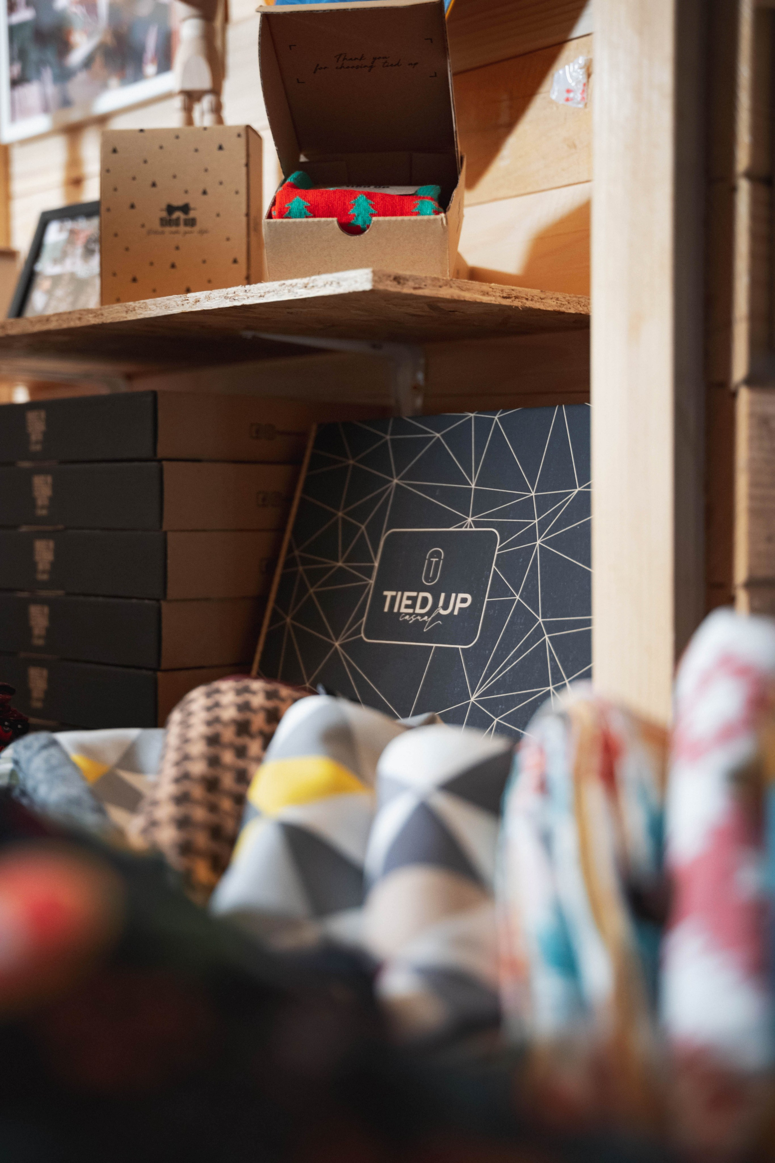 Novosadski Zimzolend. Жуков Студио