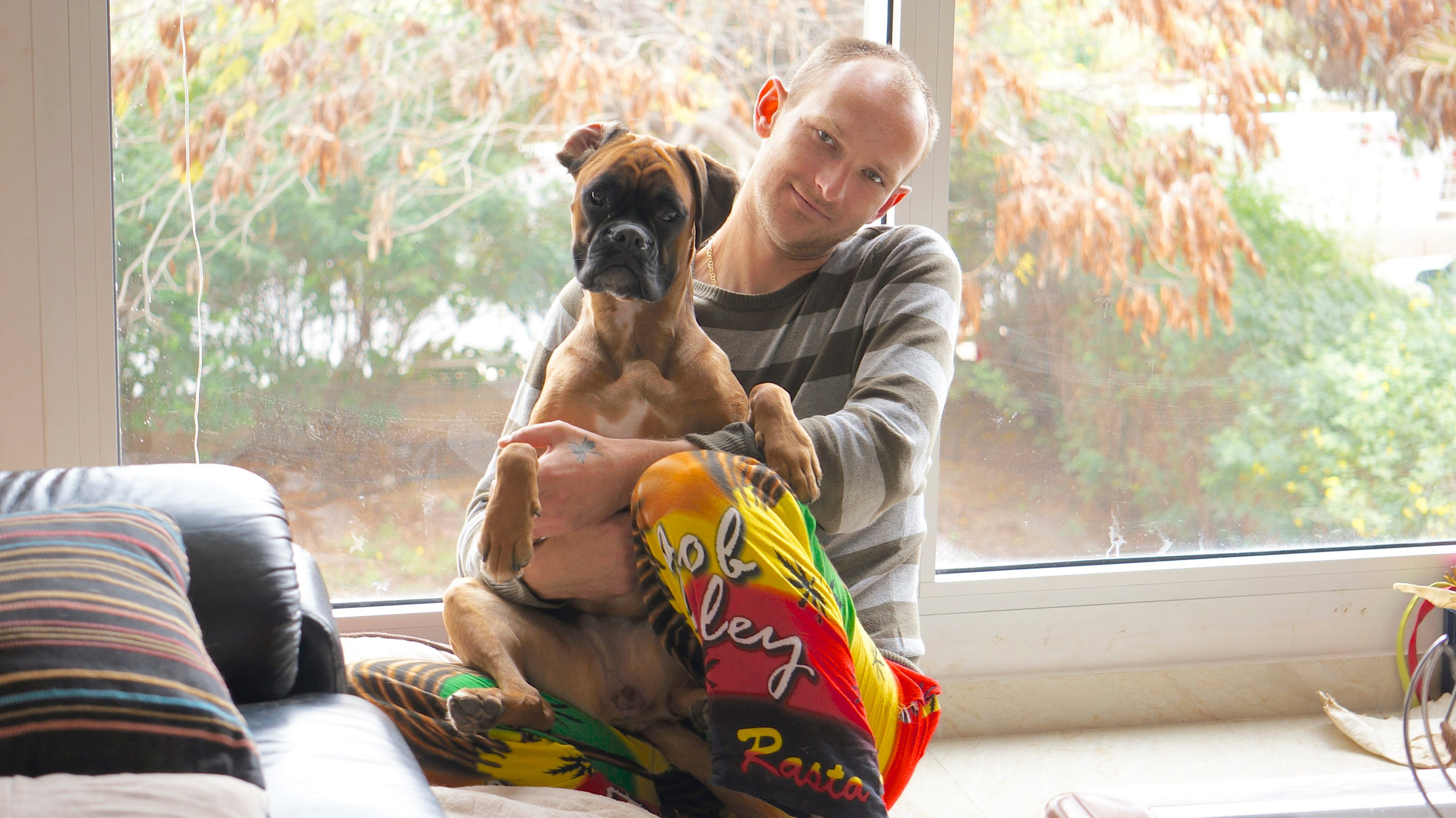 My ״Star״ Boxer Dog